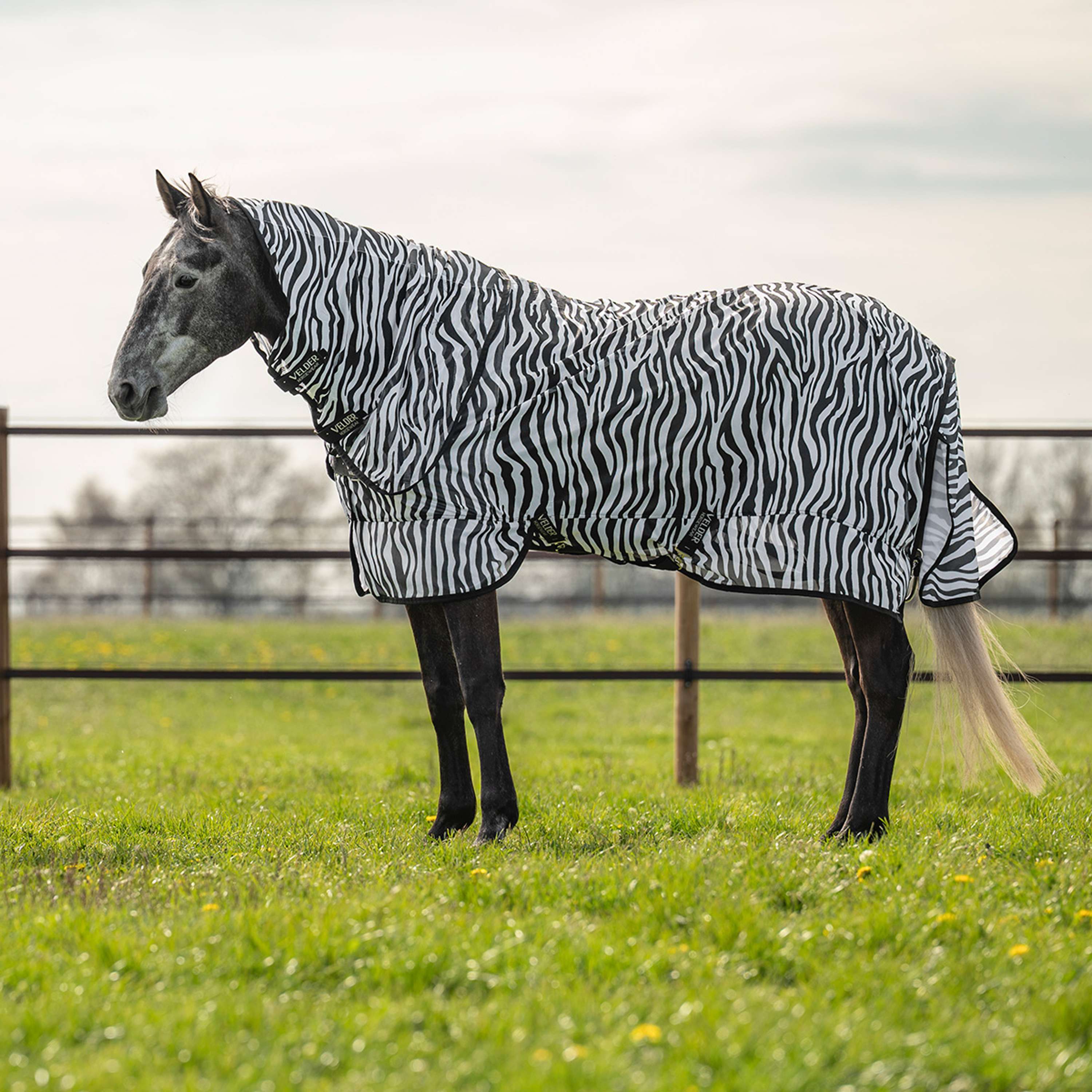 Velder Horsewear Couverture Anti-Mouches avec Couvre-cou Zebra Noir/Blanc - Image 2