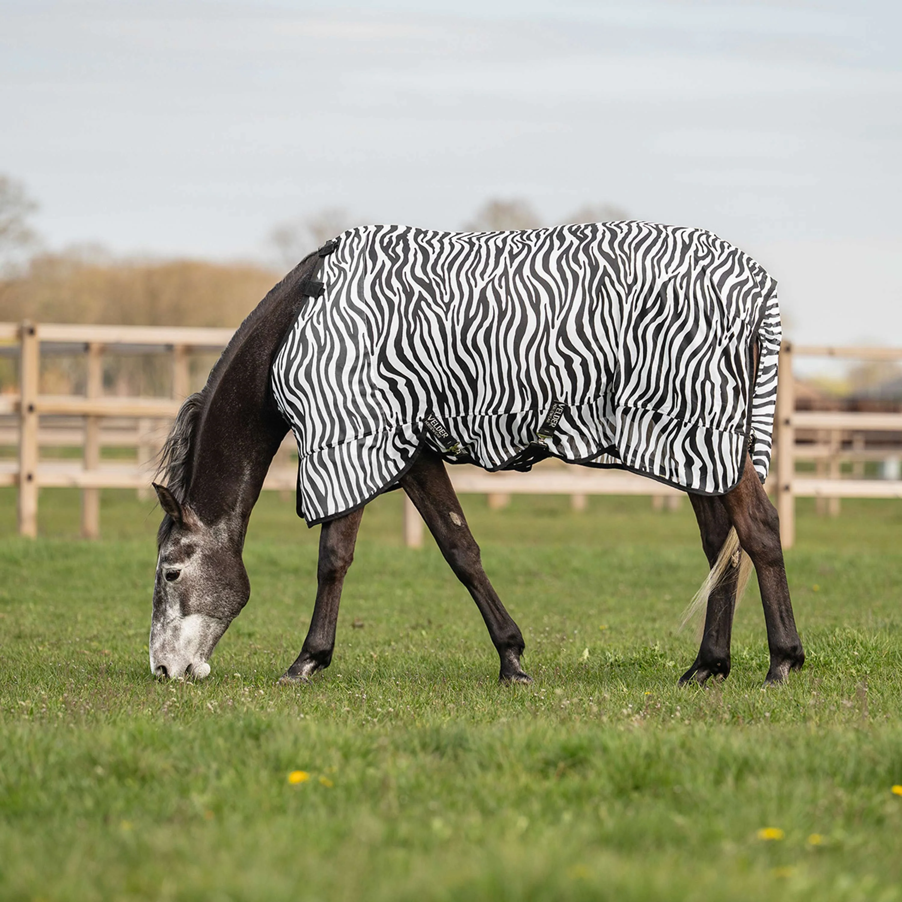 Velder Horsewear Couverture Anti-Mouches avec Couvre-cou Zebra Noir/Blanc - Image 3