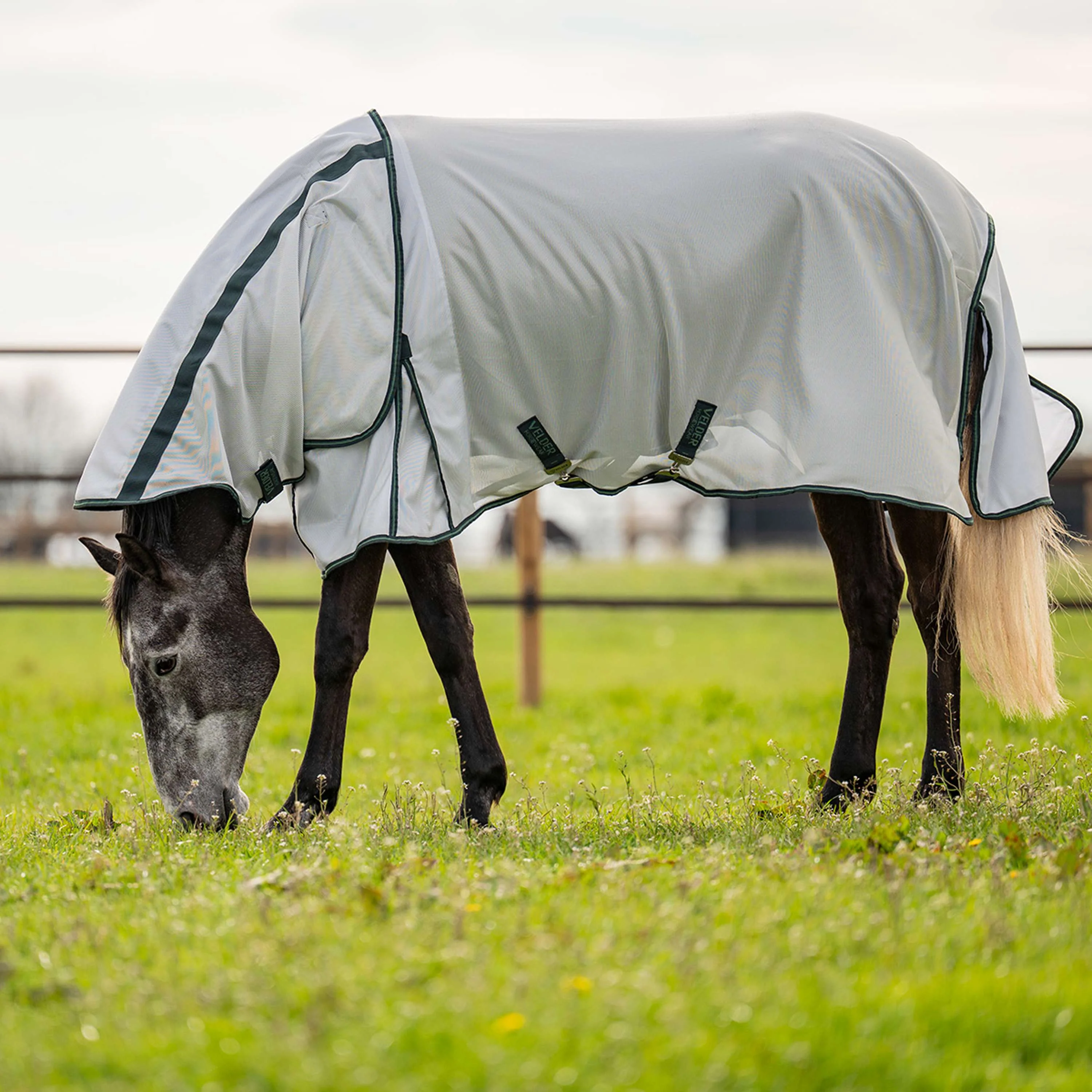 Velder Horsewear Couverture Anti-Mouches Guardian AirMesh Silver Mist - Image 2
