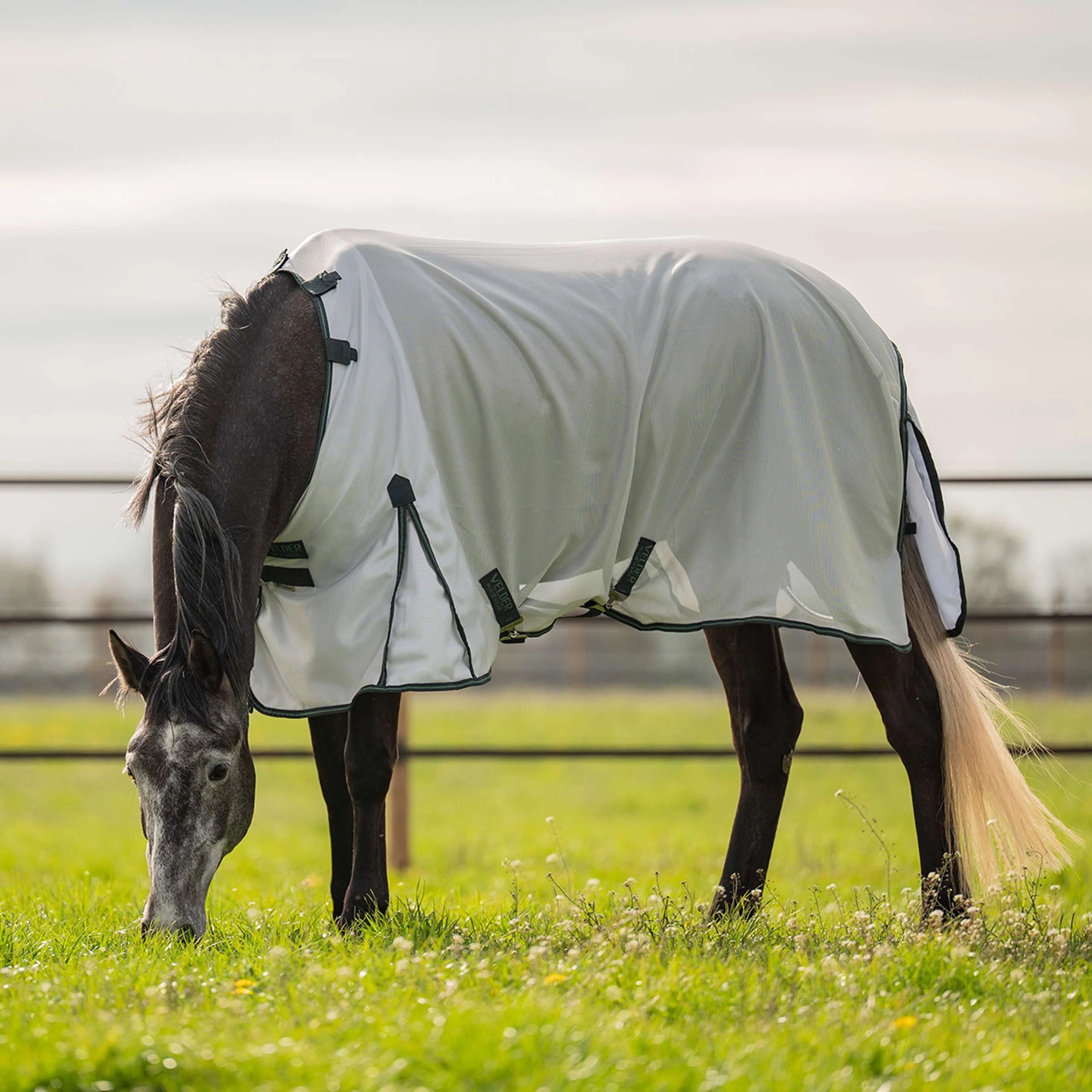 Velder Horsewear Couverture Anti-Mouches Guardian AirMesh Silver Mist - Image 3