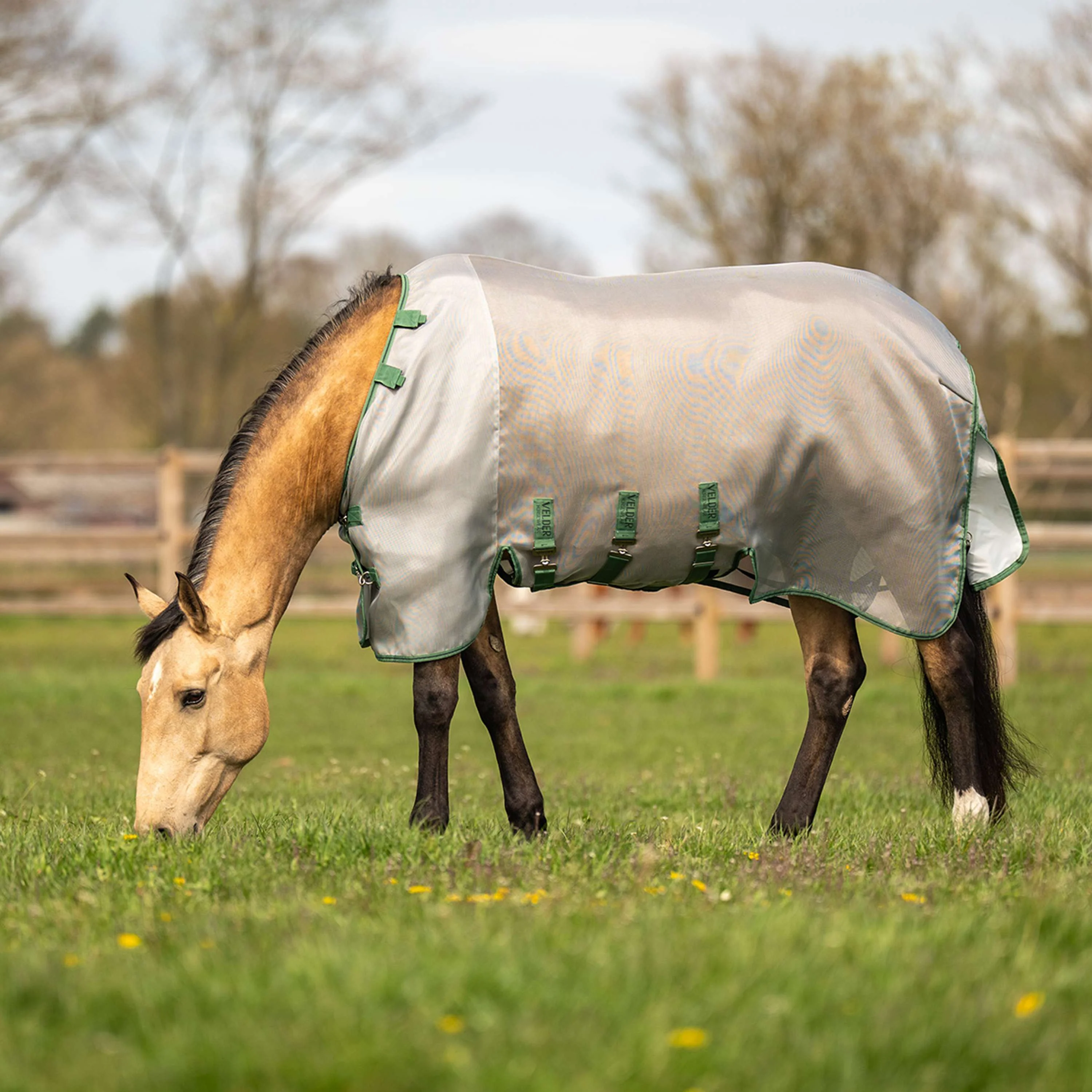 Velder Horsewear Insect Guard Plus Argent - Image 3