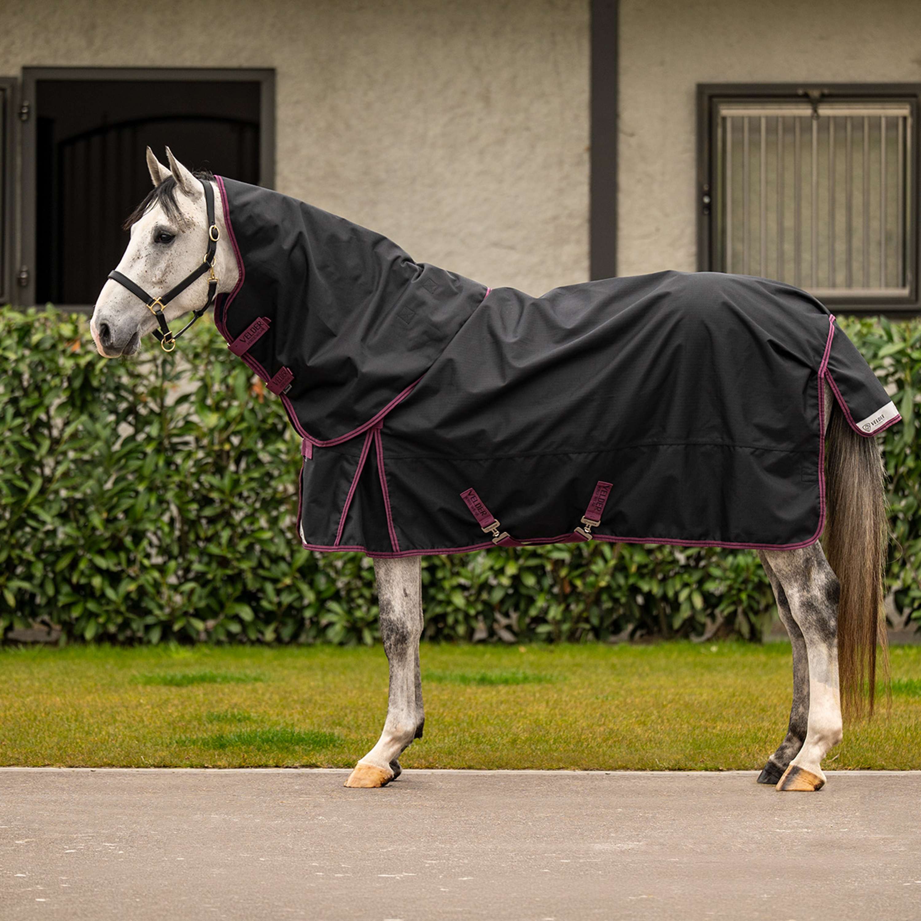 Velder Horsewear Turnout Rug 1200D 0g Noir - Image 10