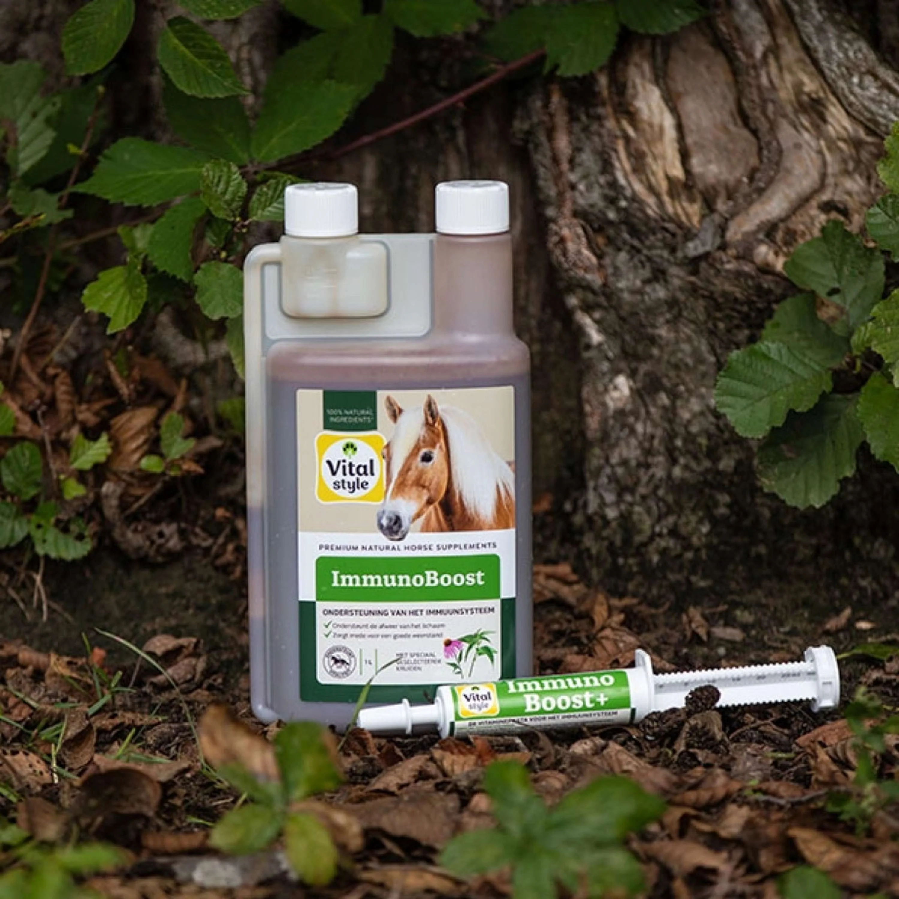 Vitalstyle ImmunoBoost - Image 3