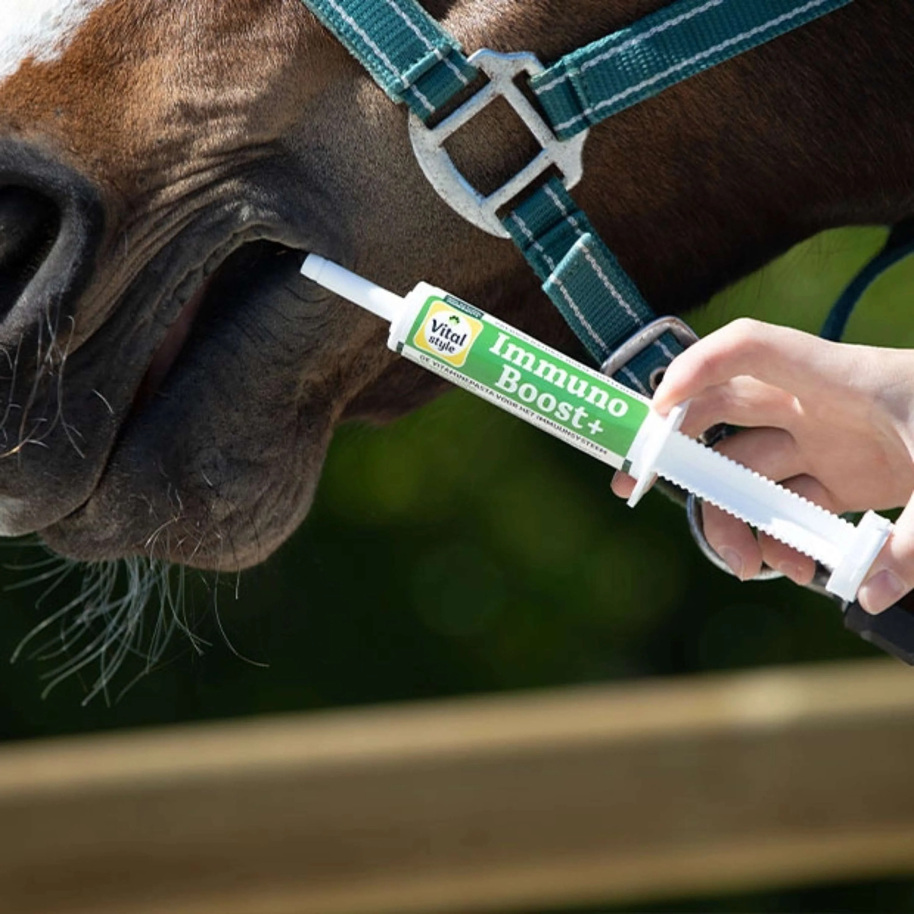 Vitalstyle ImmunoBoost+ - Image 2