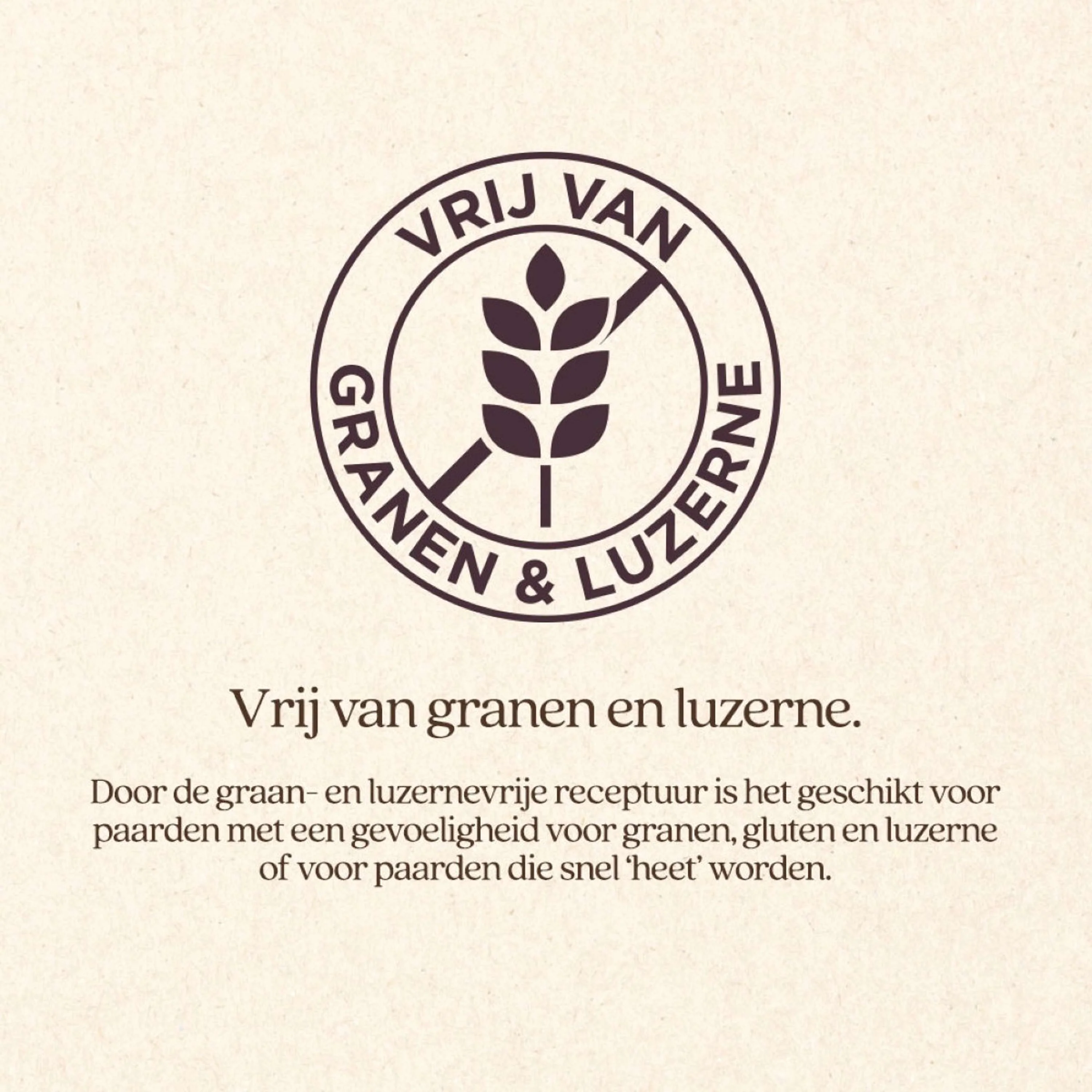Vitalstyle Mélange de Fourrage Grossier Soft & Fiber - Image 6