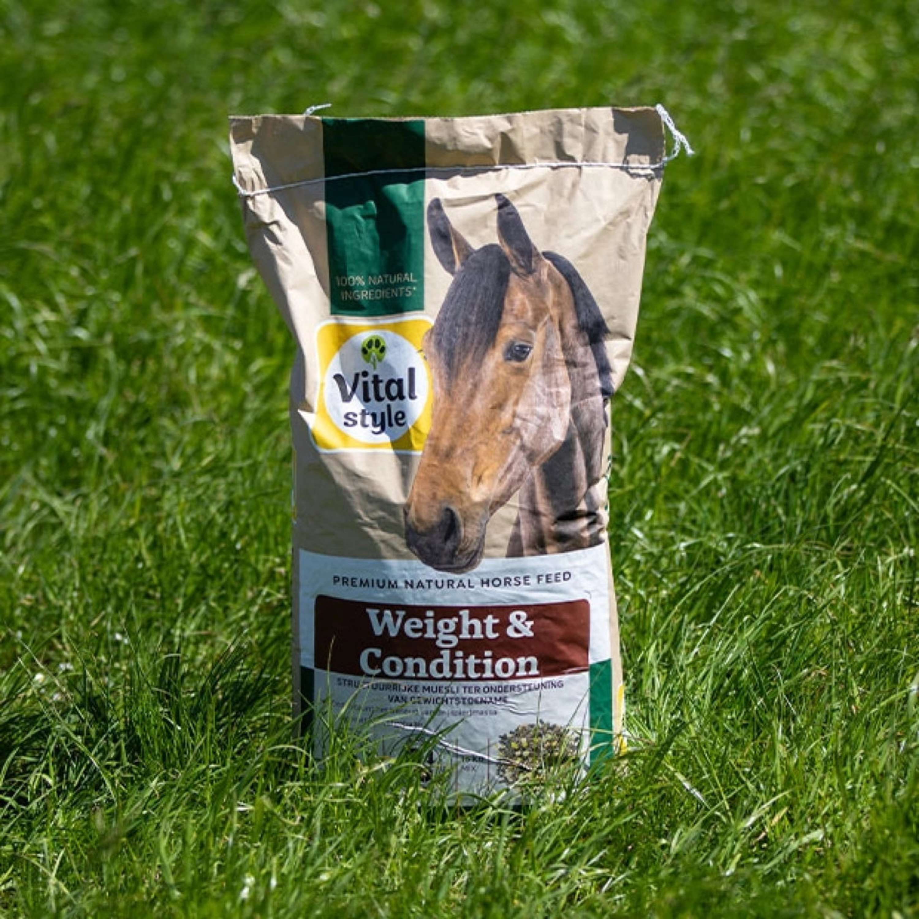 Vitalstyle Muesli Weight & Condition - Image 2