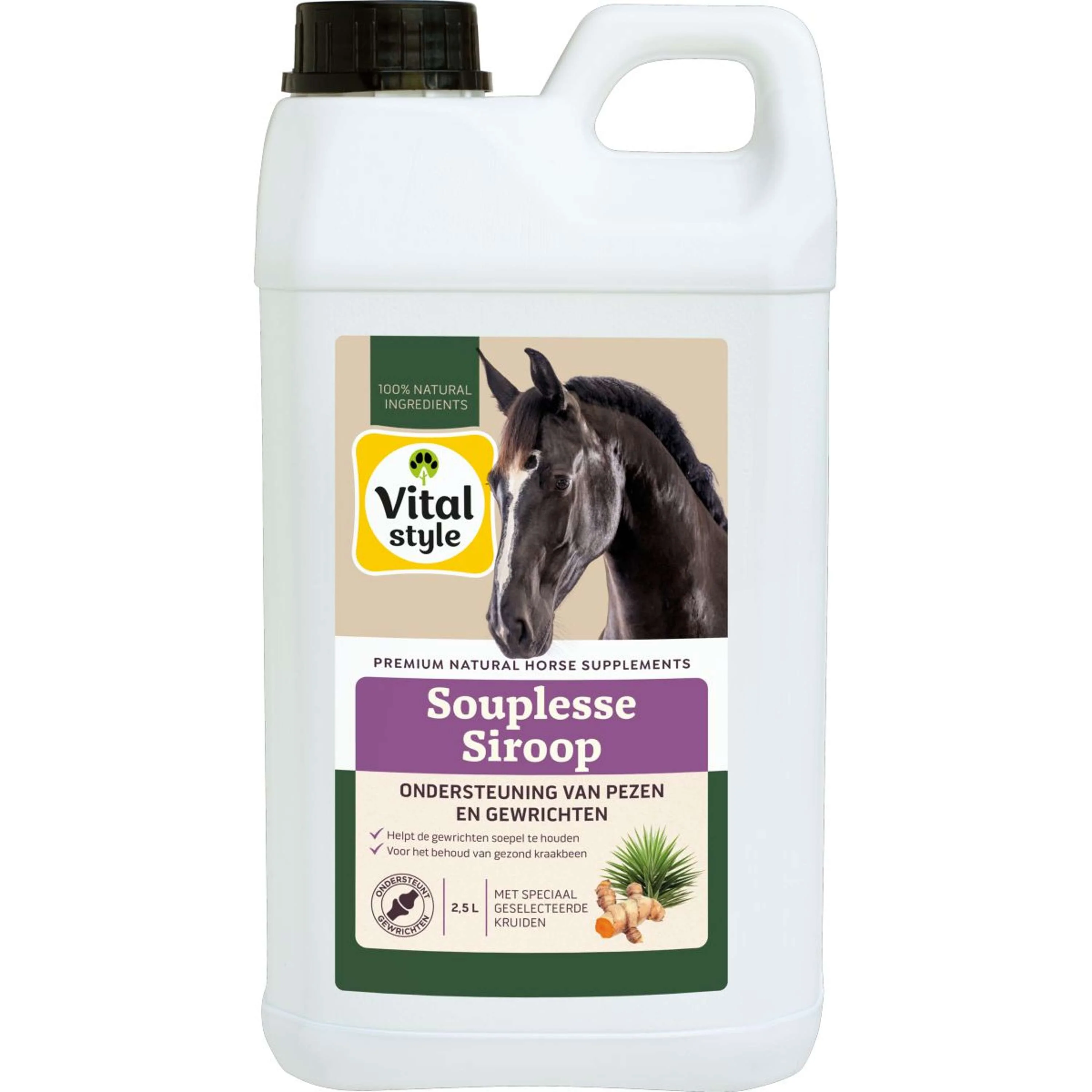 Vitalstyle SouplesseSiroop - Image 3