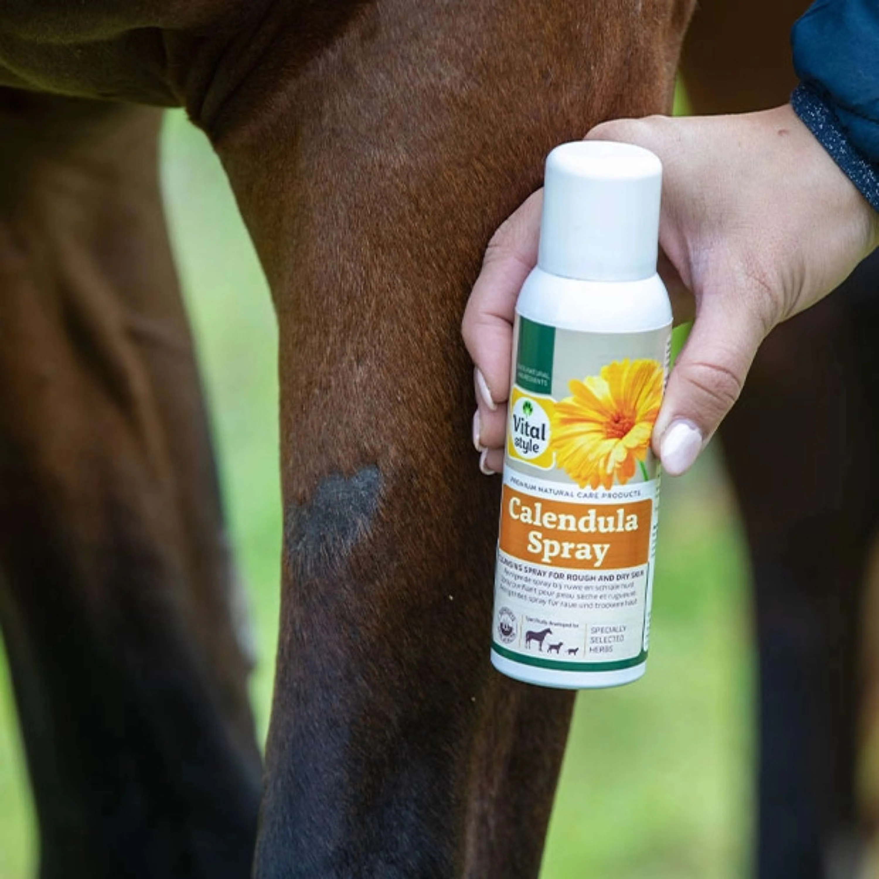 Vitalstyle Spray Calendula - Image 3