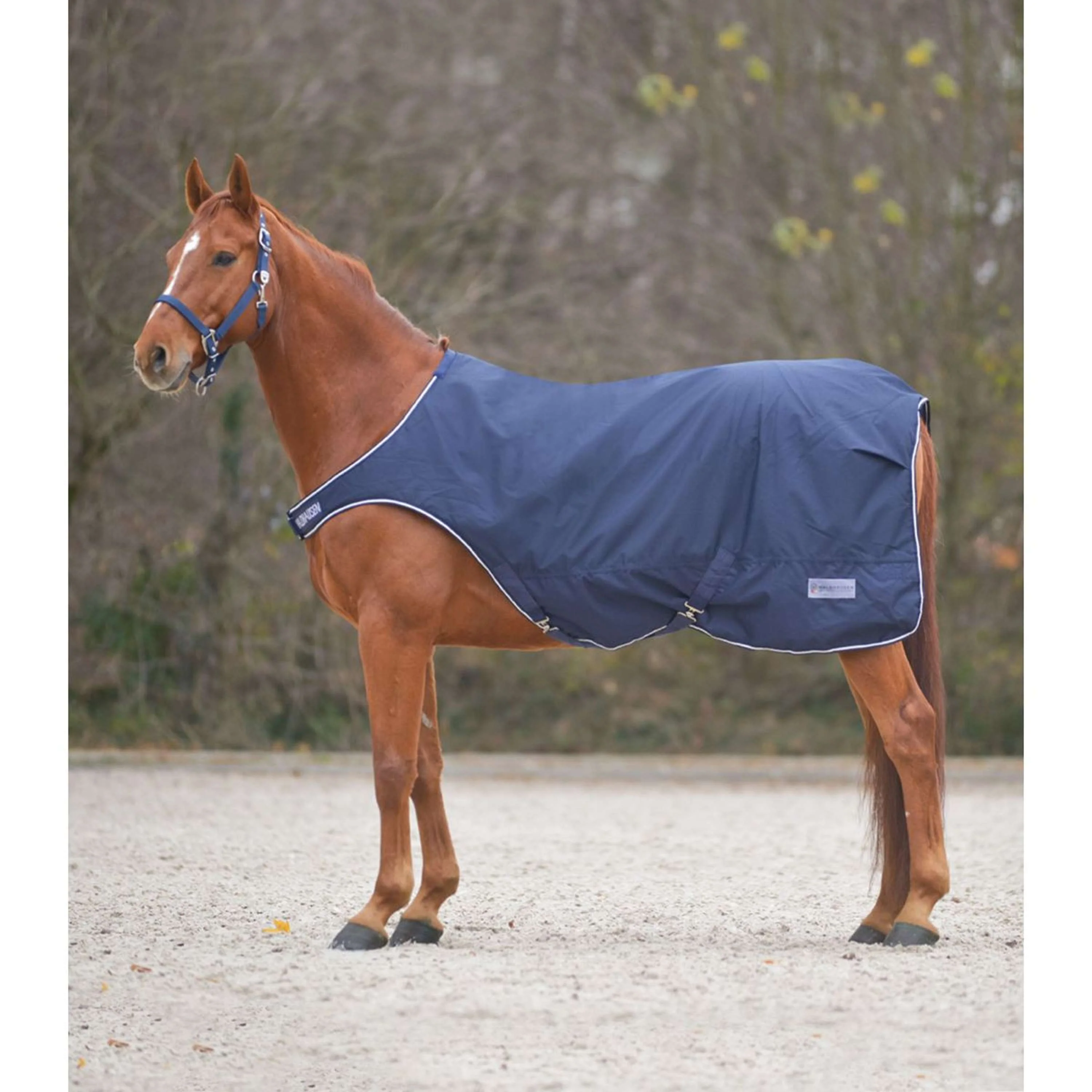 Waldhausen Chemise de Marcheur 100g Nightblue