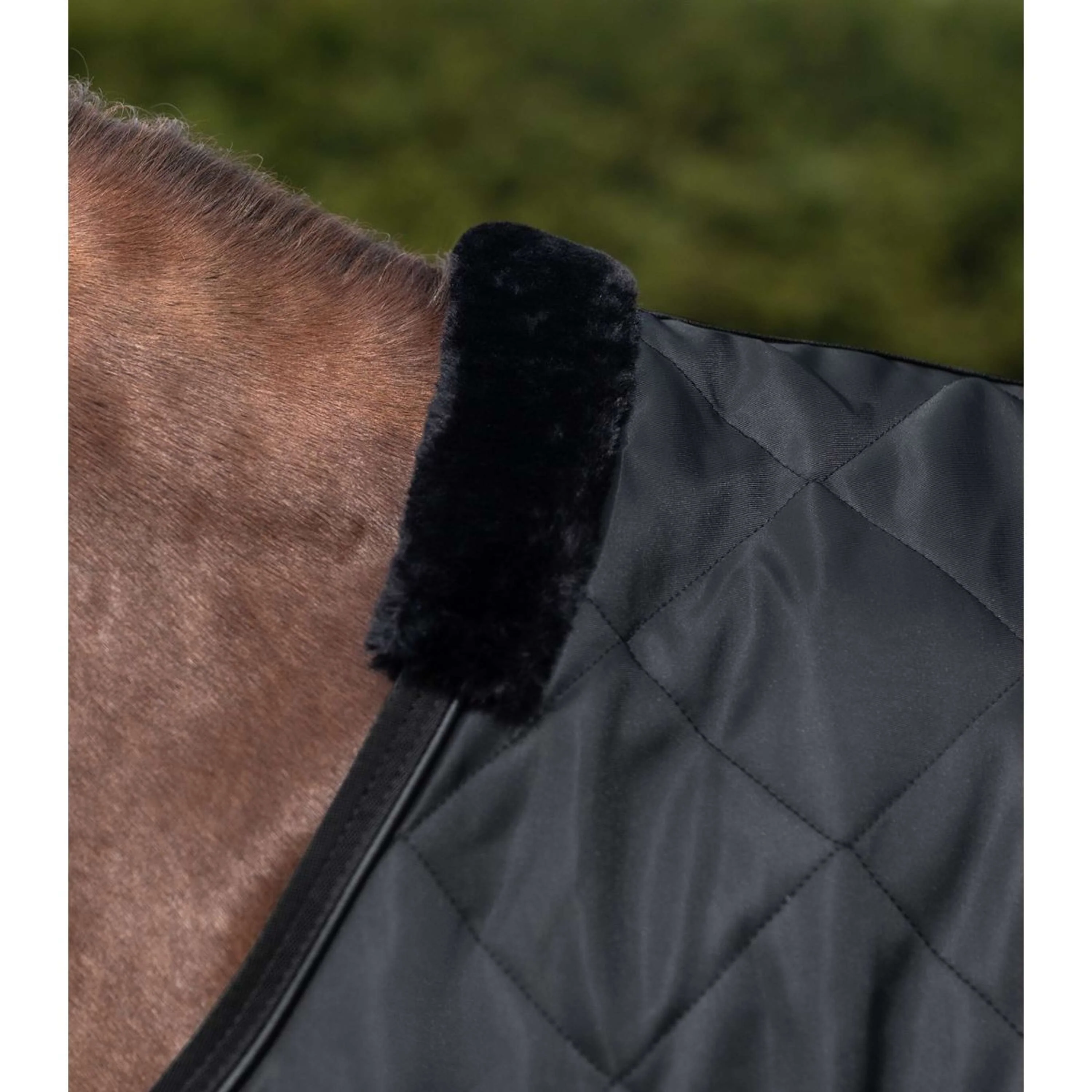 Waldhausen Chemise de Marcheur Exclusive Noir - Image 2