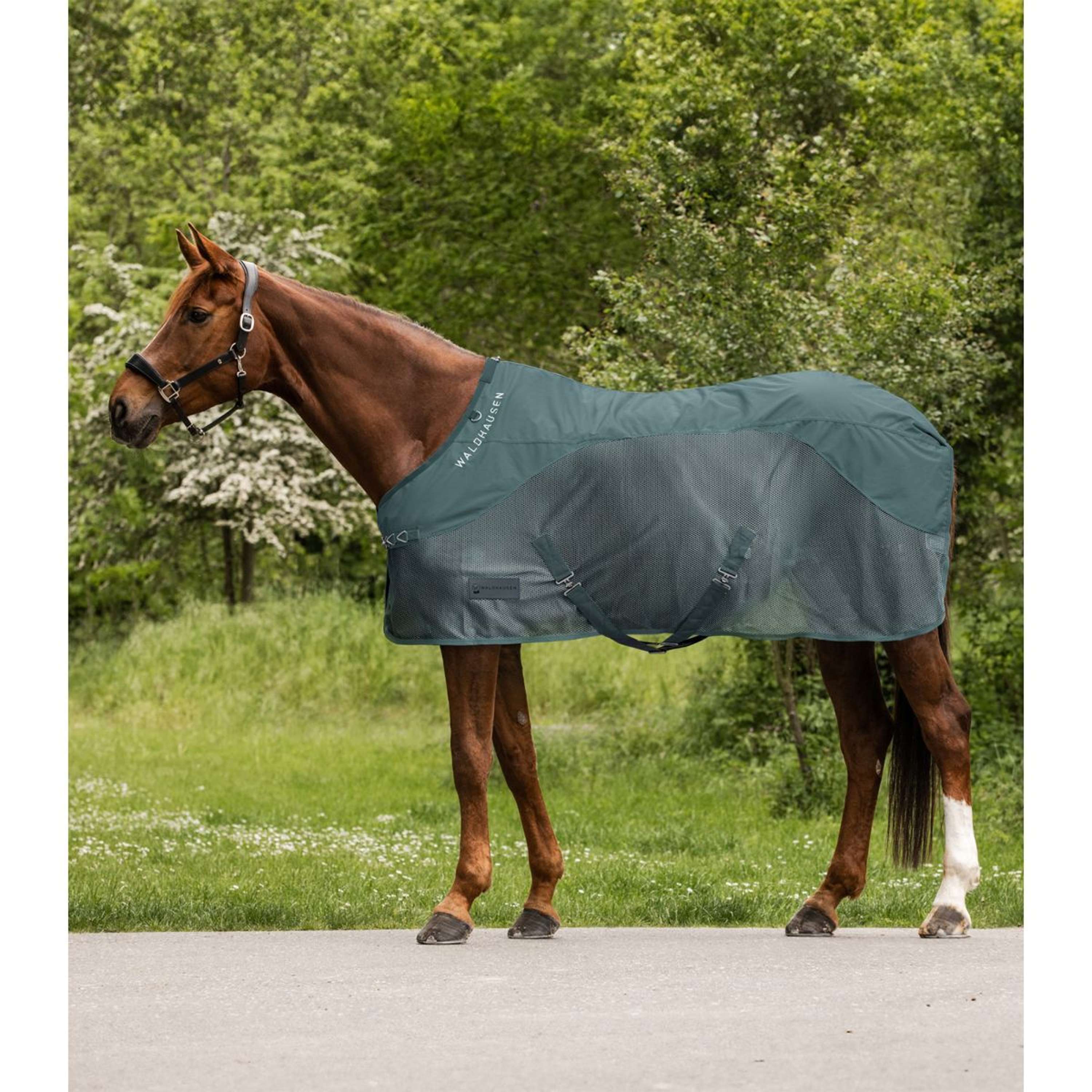 Waldhausen Couverture Anti-Mouches Comfort Dos Étanche Pine Green