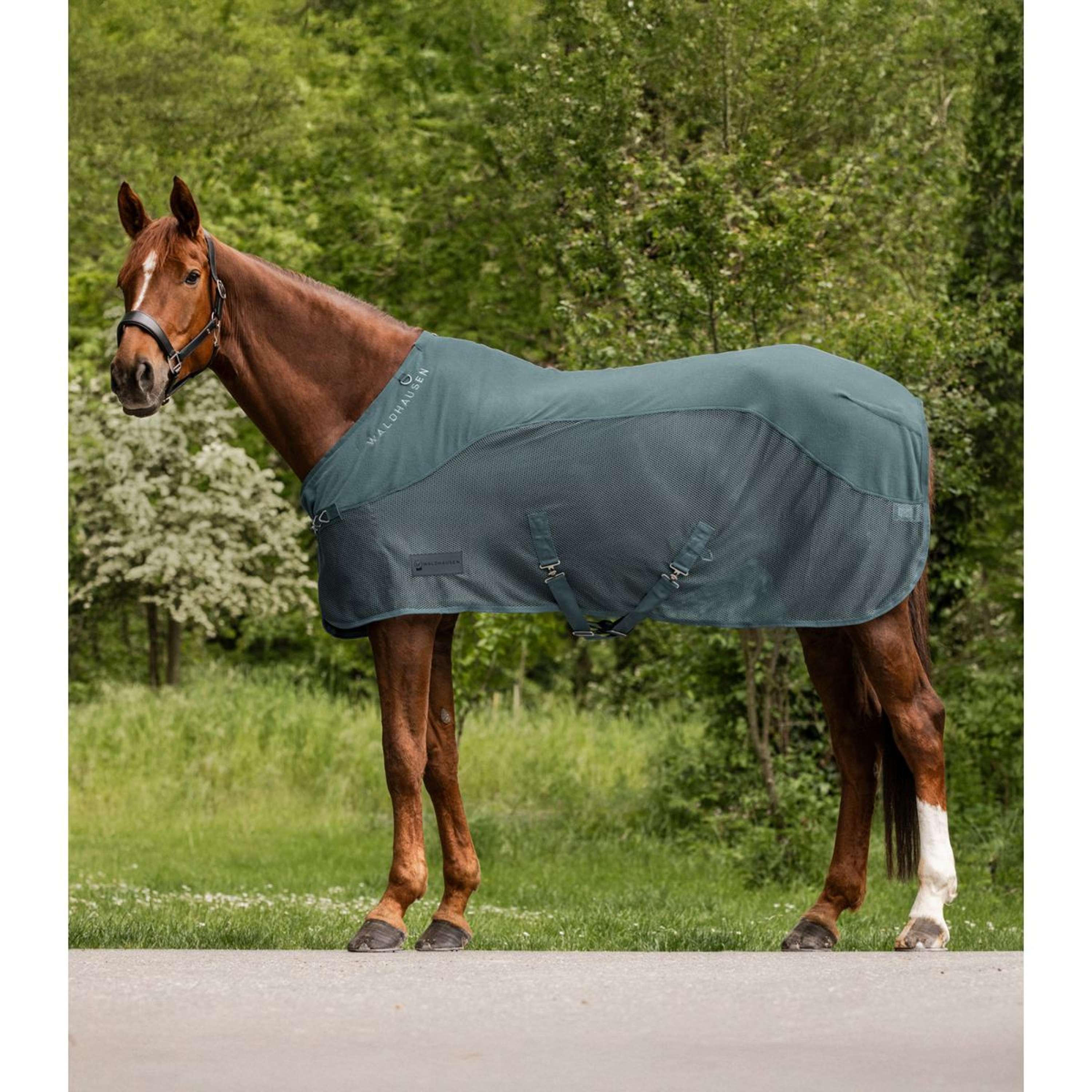 Waldhausen Couverture Anti-Mouches Fleece Comfort Pine Green