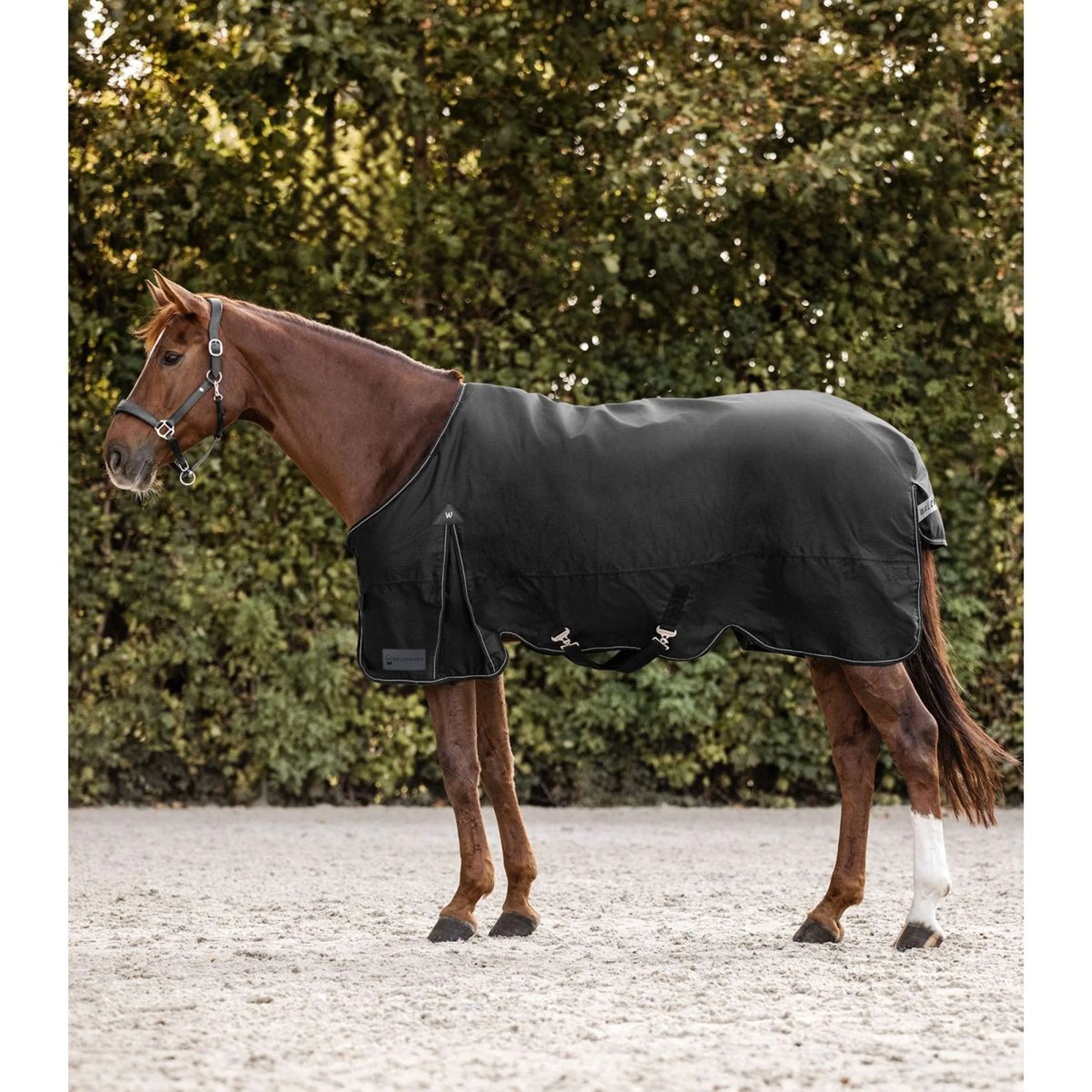 Waldhausen Couverture d'Extérieur Arctic 50g Noir