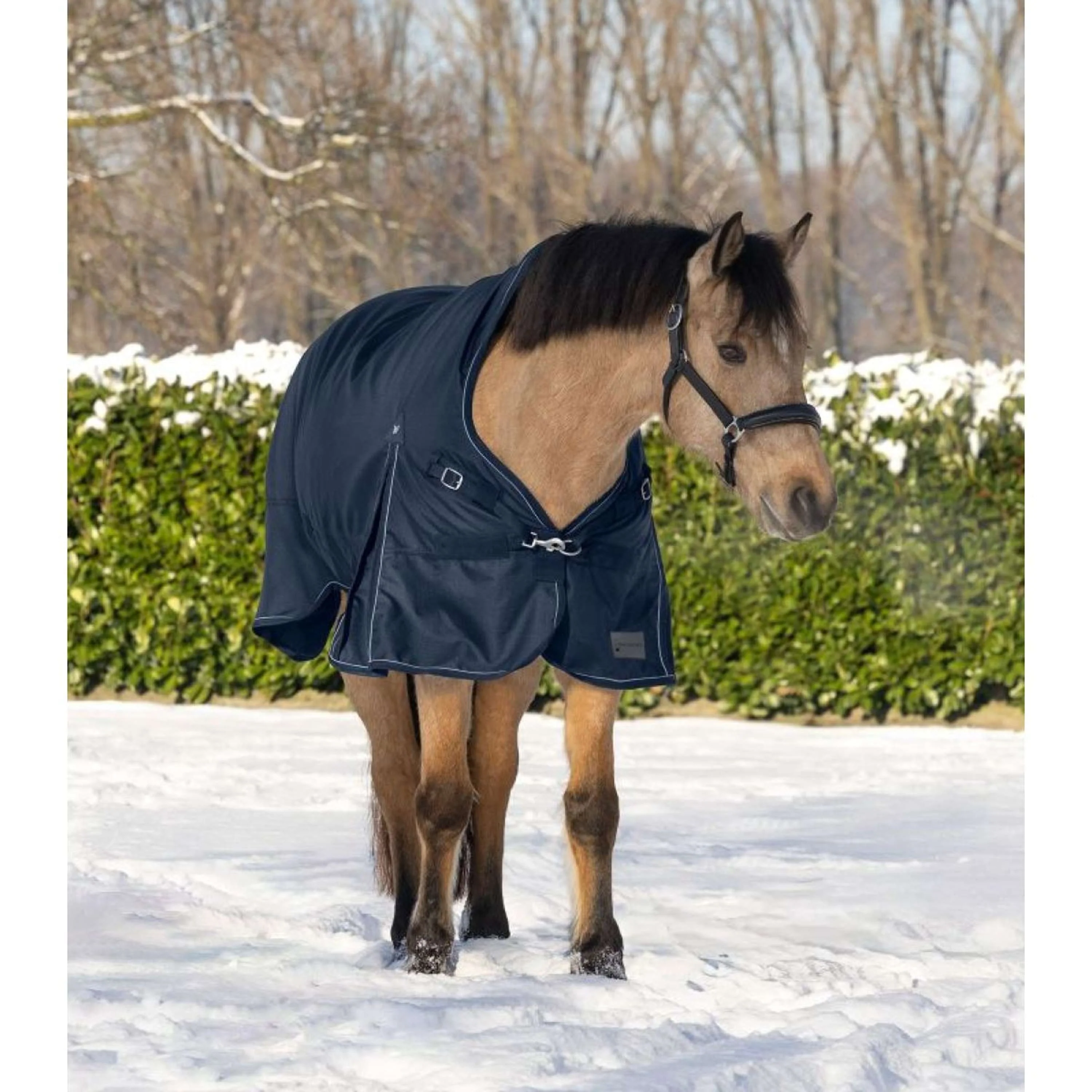 Waldhausen Couverture d'Extérieur Scandic High Neck 200g Bleu Nuit - Image 3