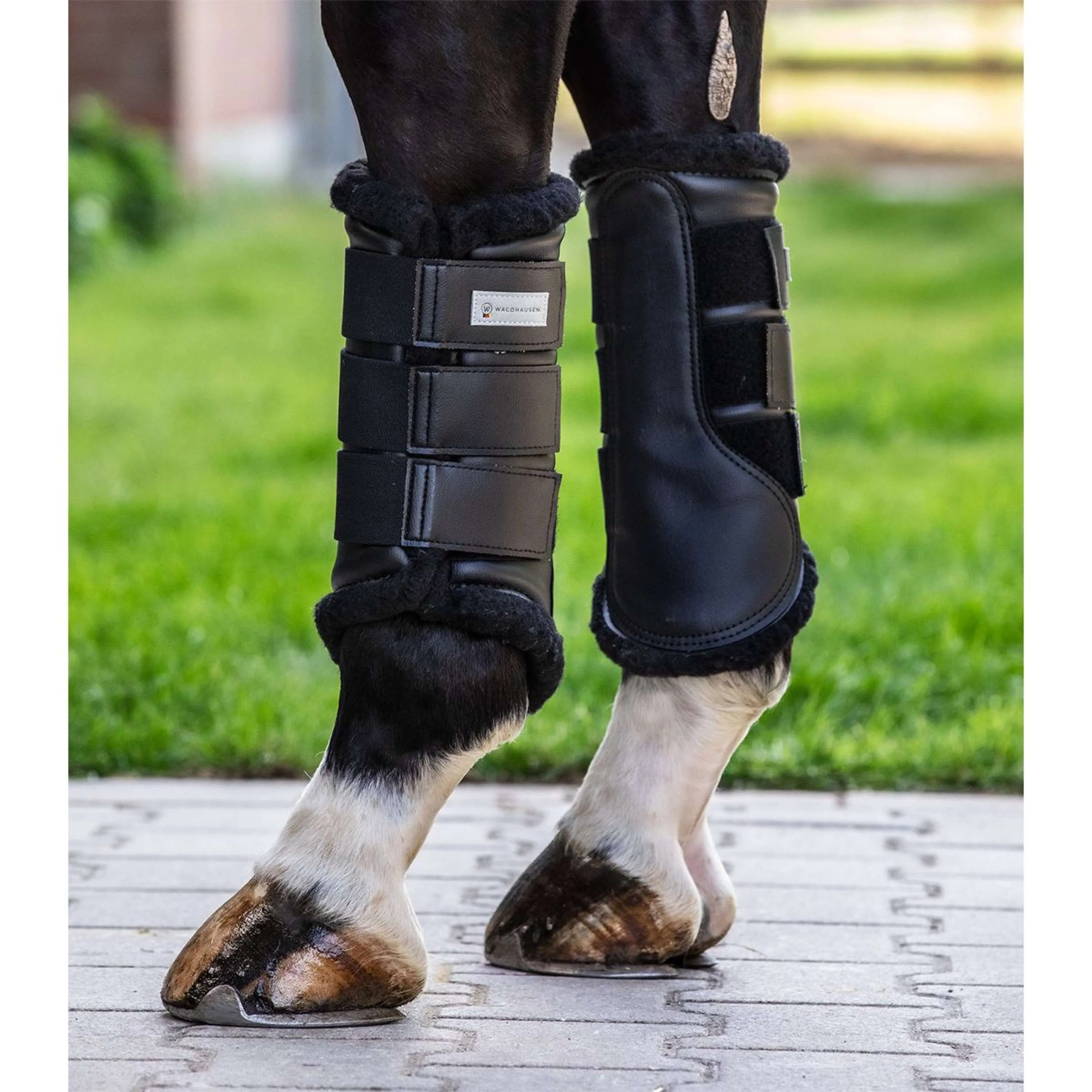 Waldhausen Guêtres Soft Dressage Noir - Image 2