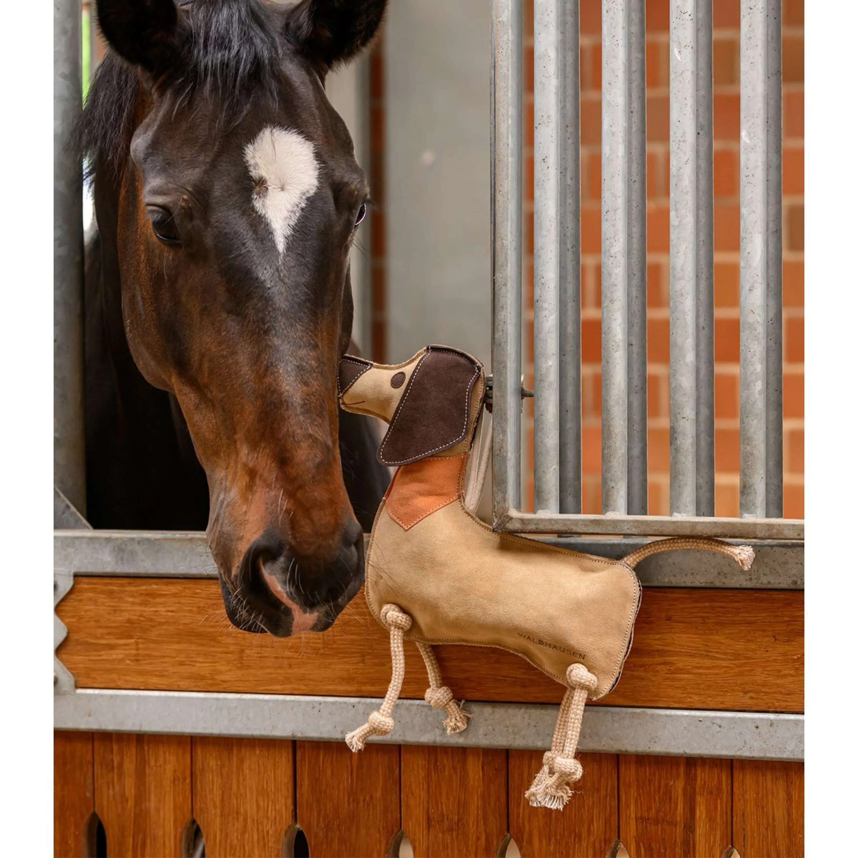Waldhausen Jouet Dachshund Dieter - Image 2