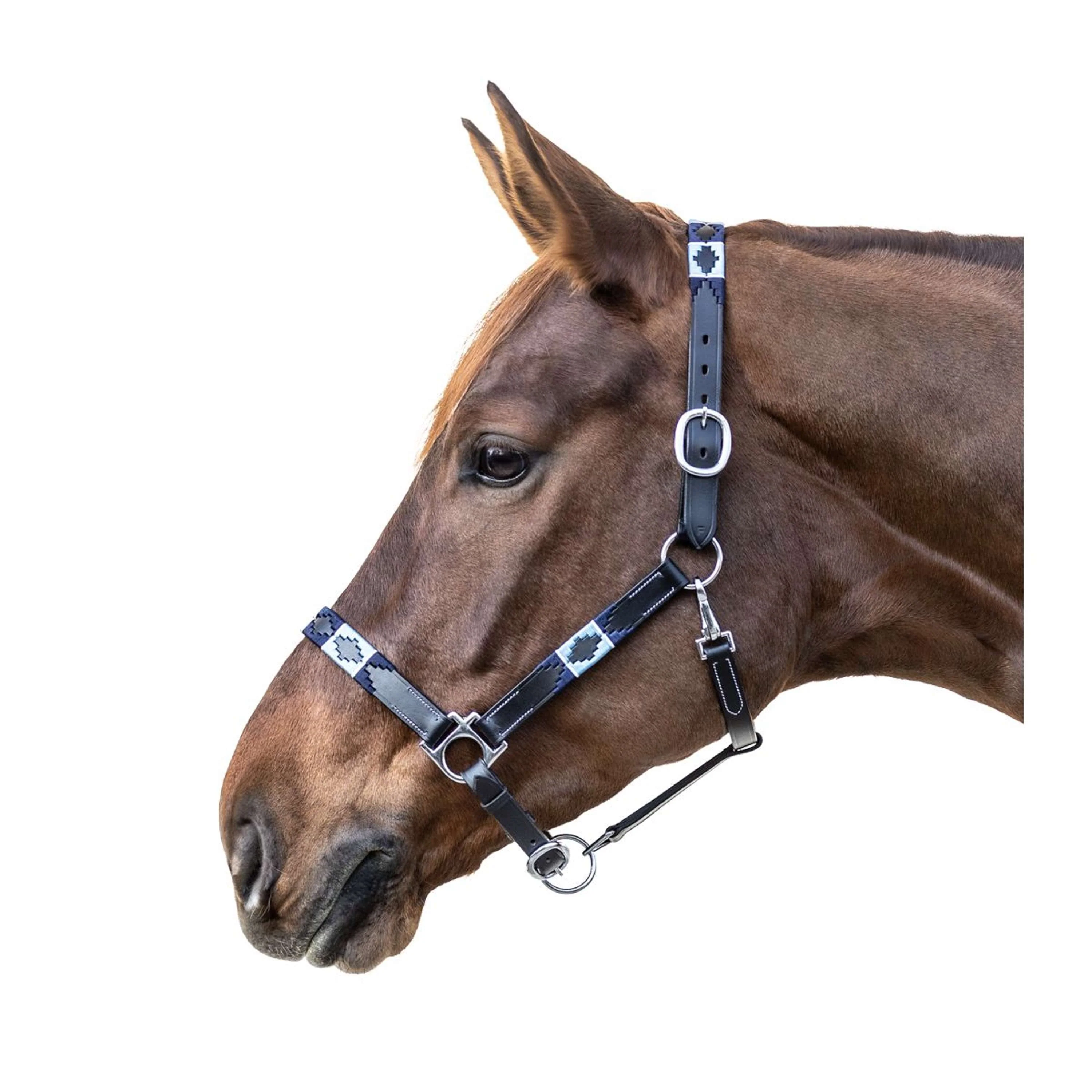 Waldhausen Licol Polo Cuir Noir/Bleu - Image 2