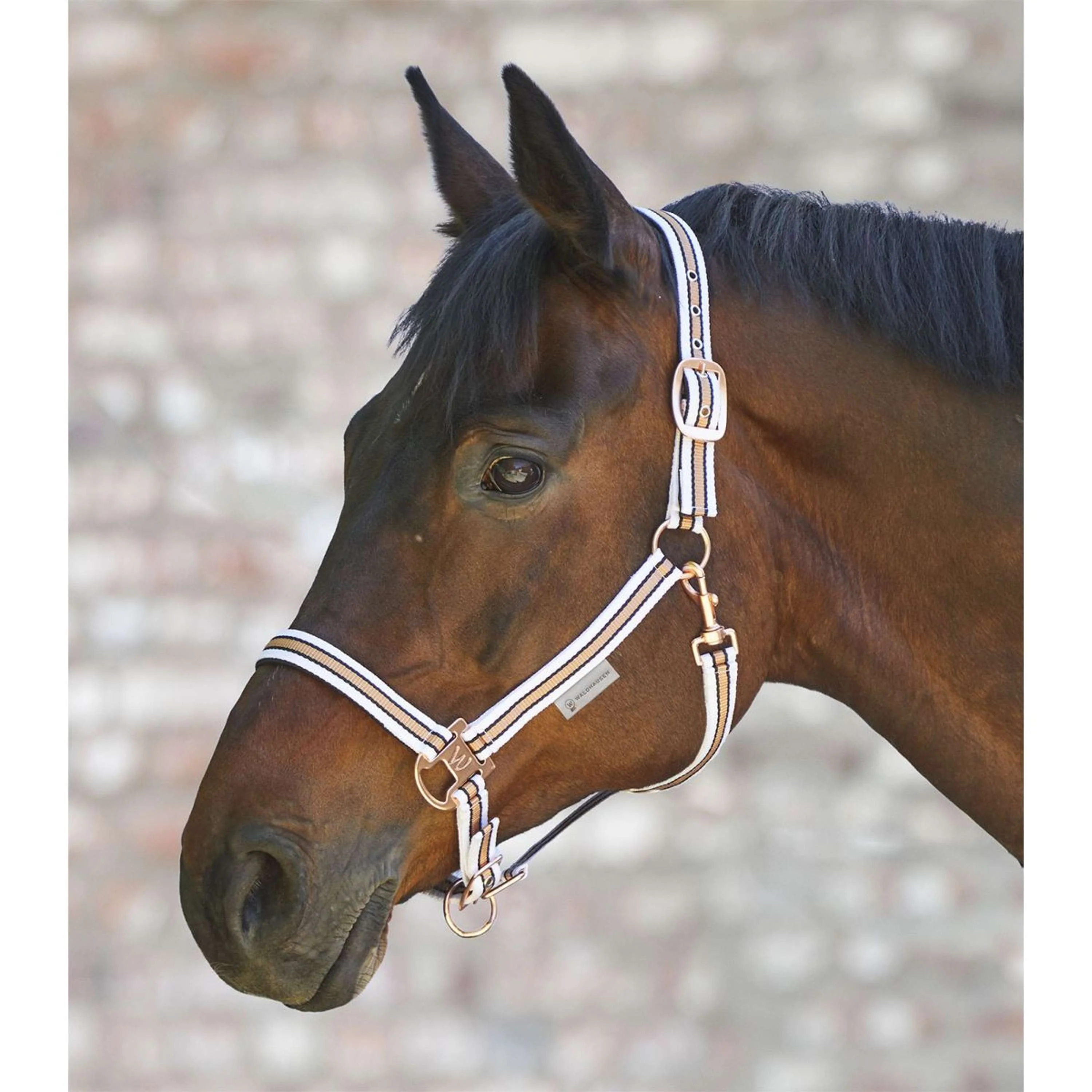 Waldhausen Licol Shine Blanc/Rosé