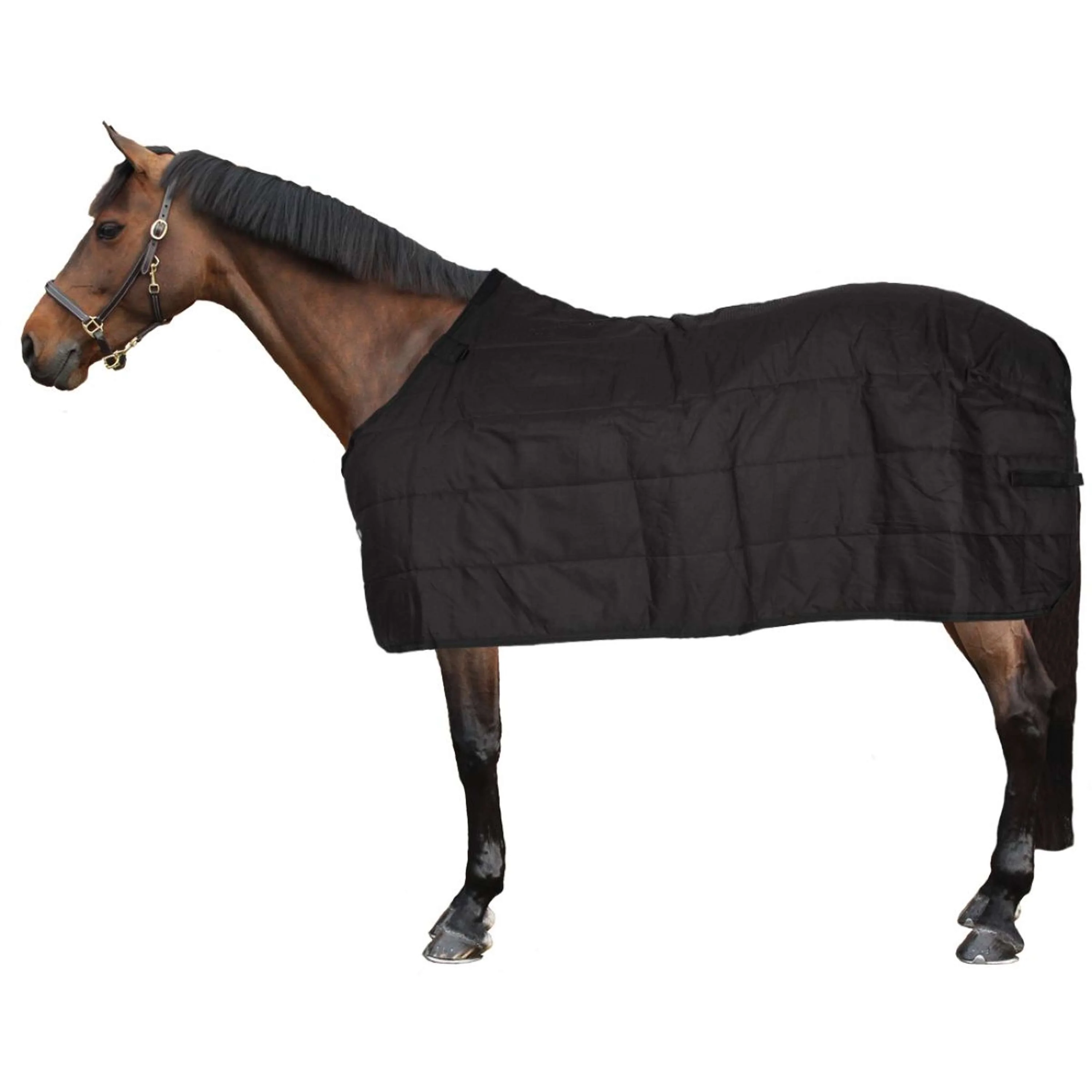 Waldhausen Sous-Couverture Thermo 100g Noir - Image 2