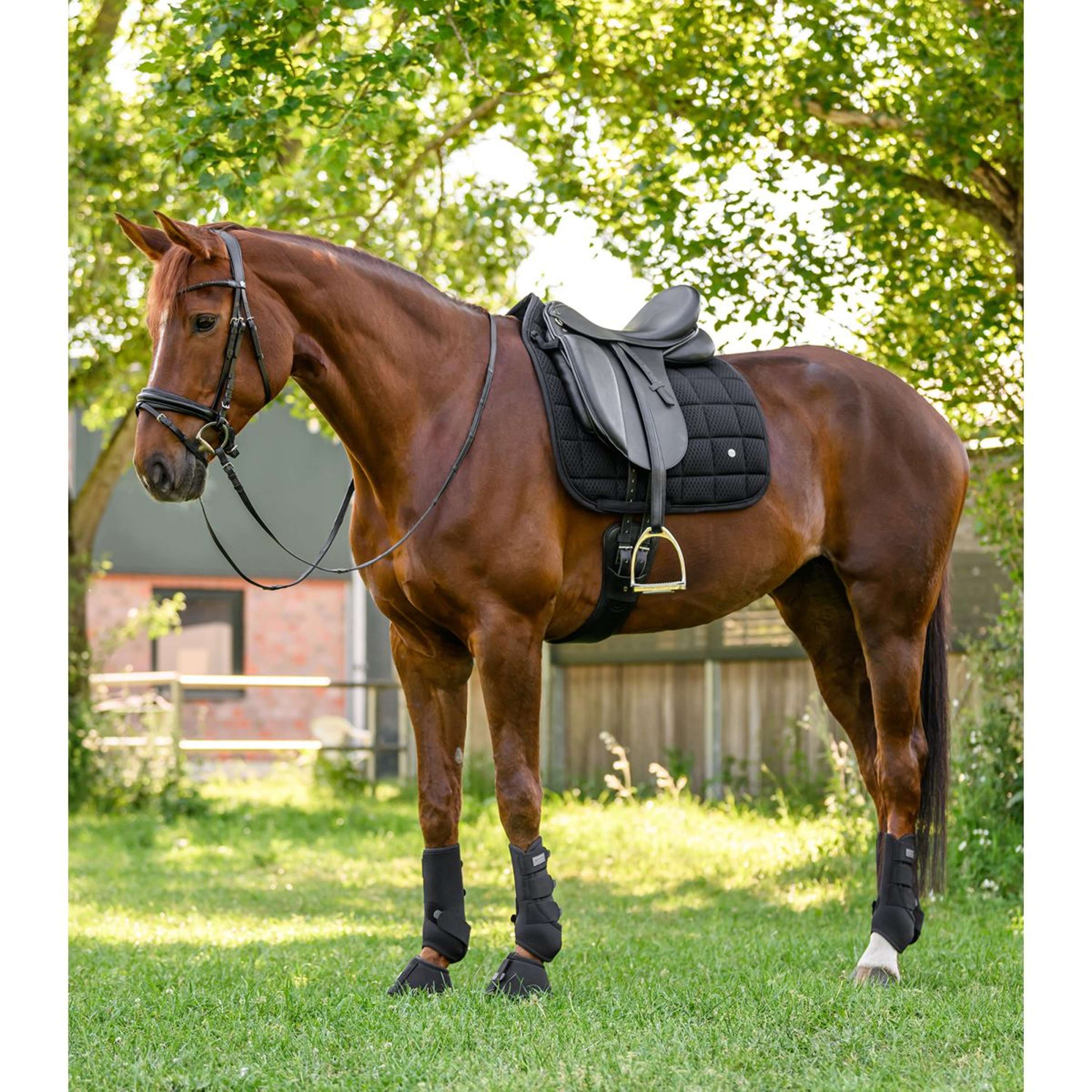 Waldhausen Tapis de Selle Breath Performance Dressage Noir - Image 5