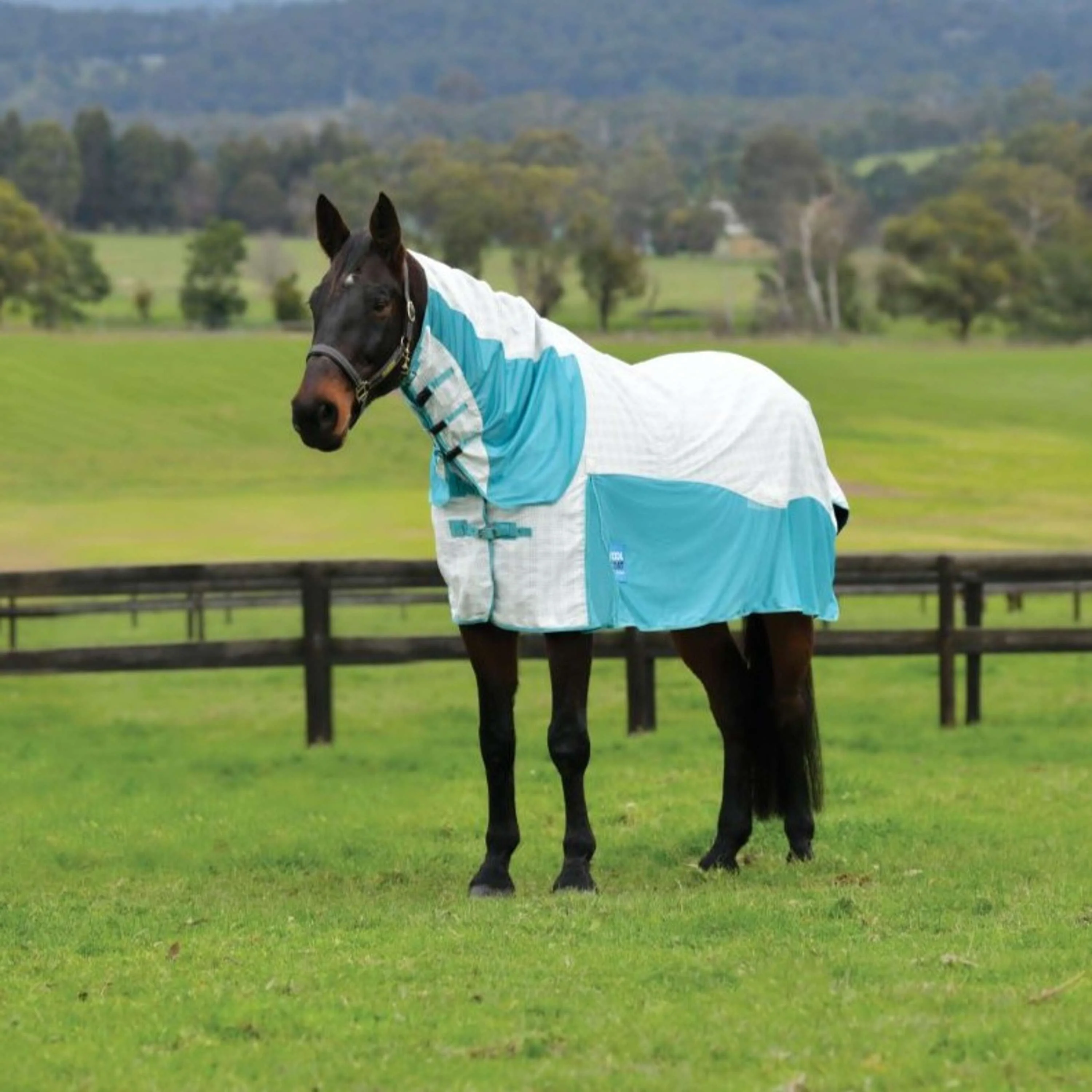 WeatherBeeta Chemise Rafraîchissante Cotton Airstream II Detach-A-Neck