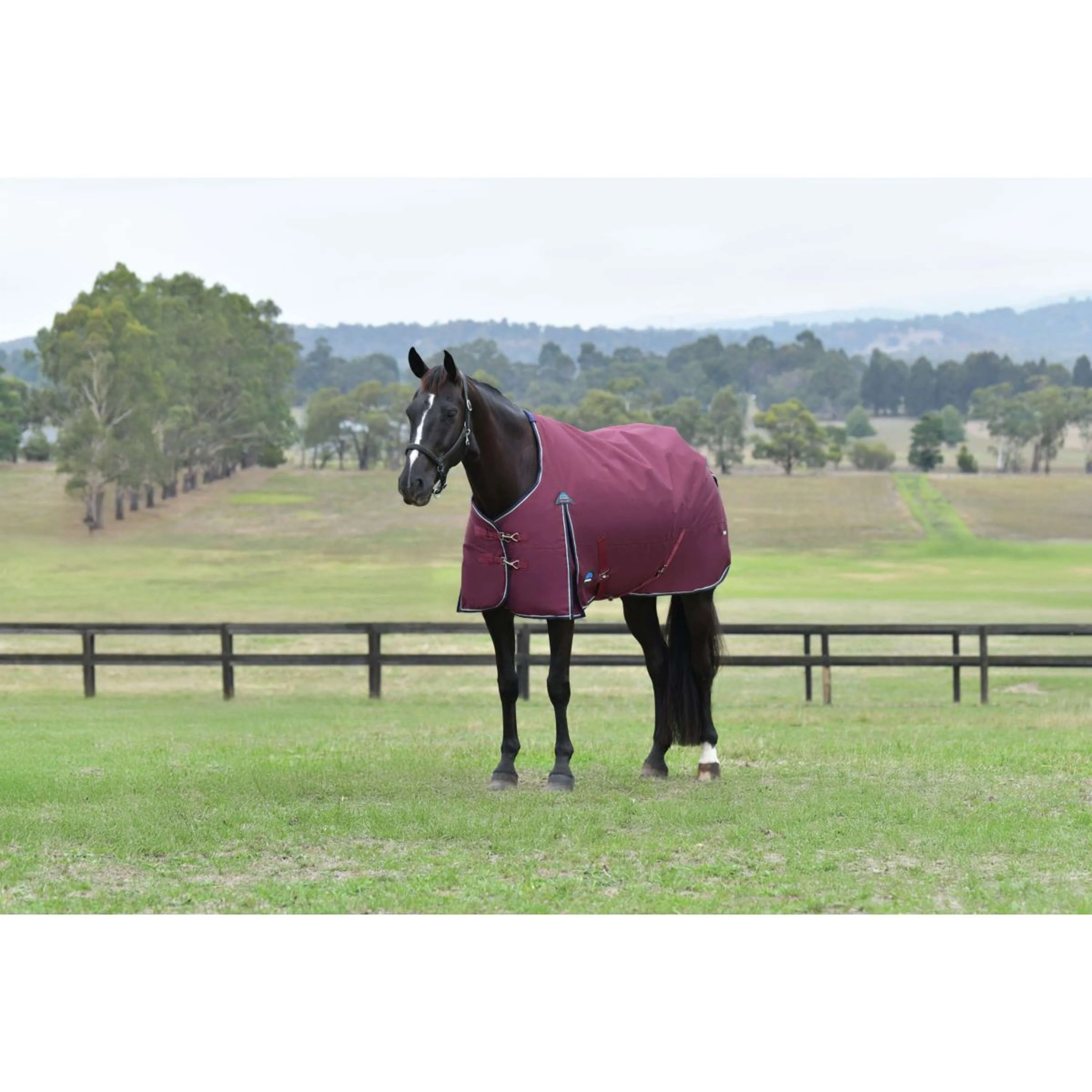 WeatherBeeta ComFiTec Essential Turnout 0g Bourgogne/Marine
