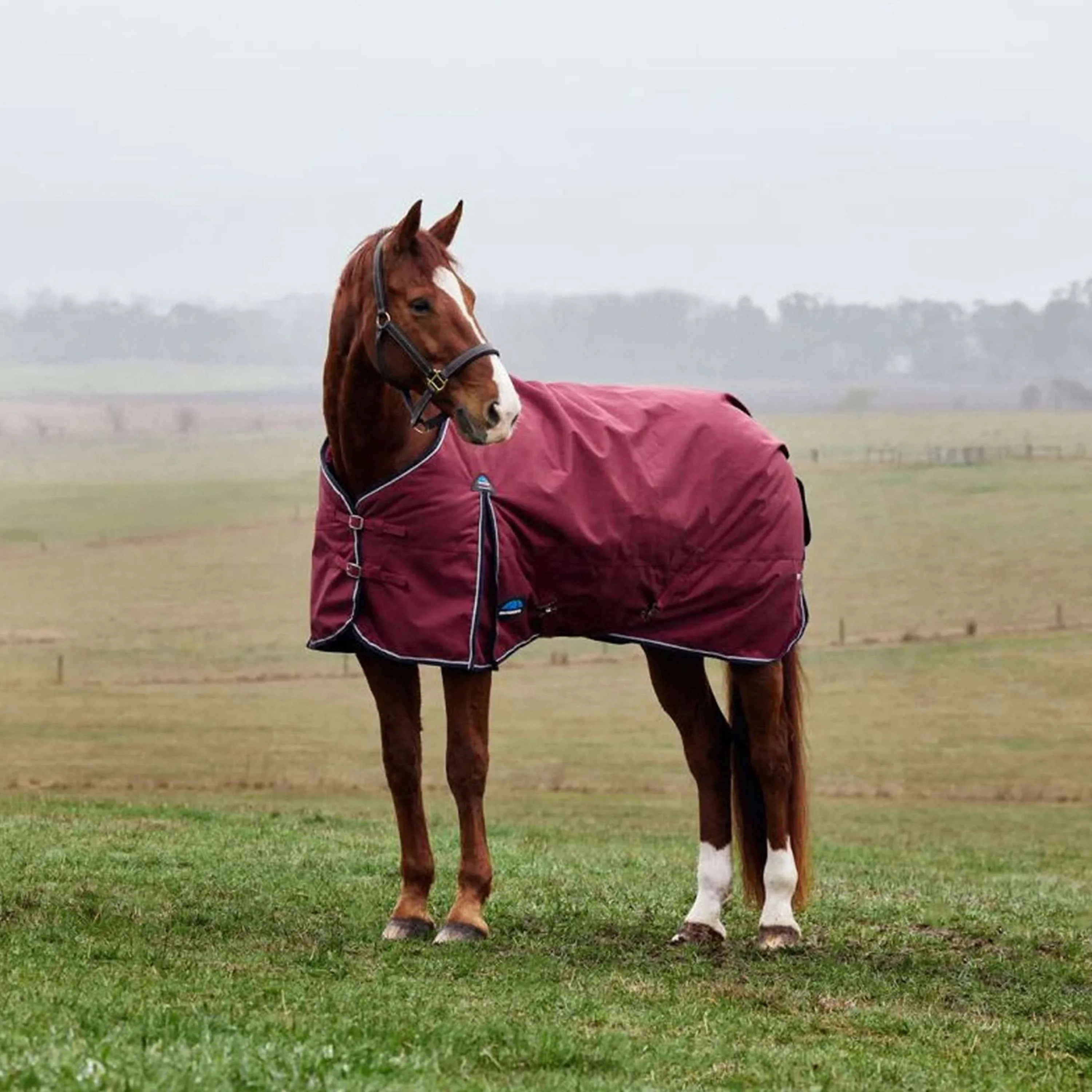 WeatherBeeta ComFiTec Prelim Turnout 220g Bourgogne/Marine - Image 3