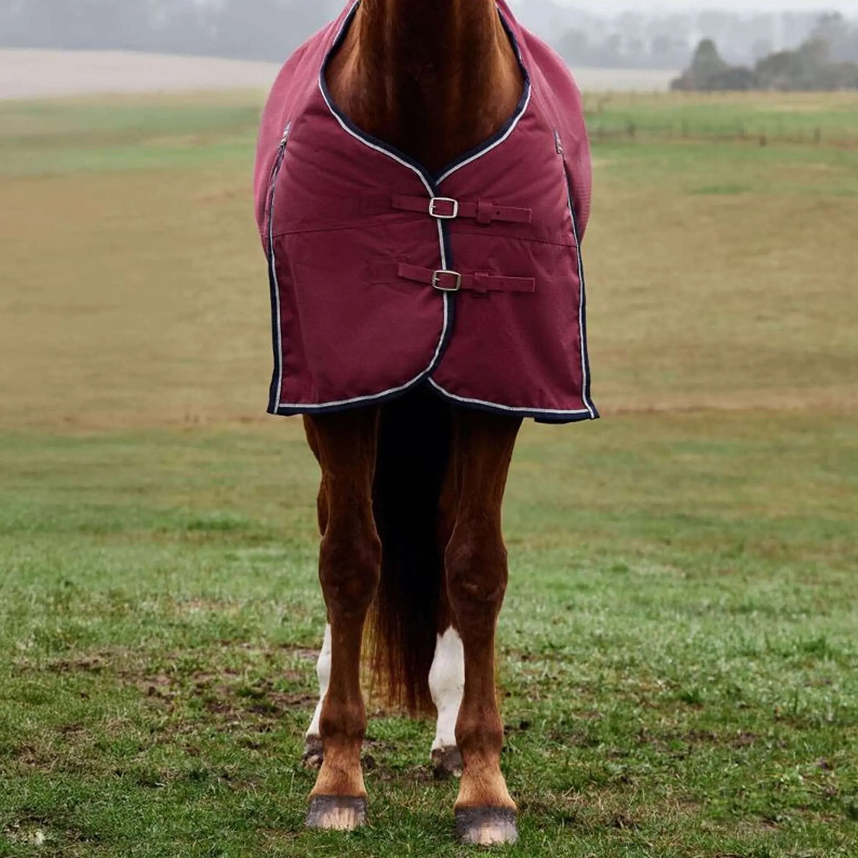 WeatherBeeta ComFiTec Prelim Turnout 220g Bourgogne/Marine - Image 4