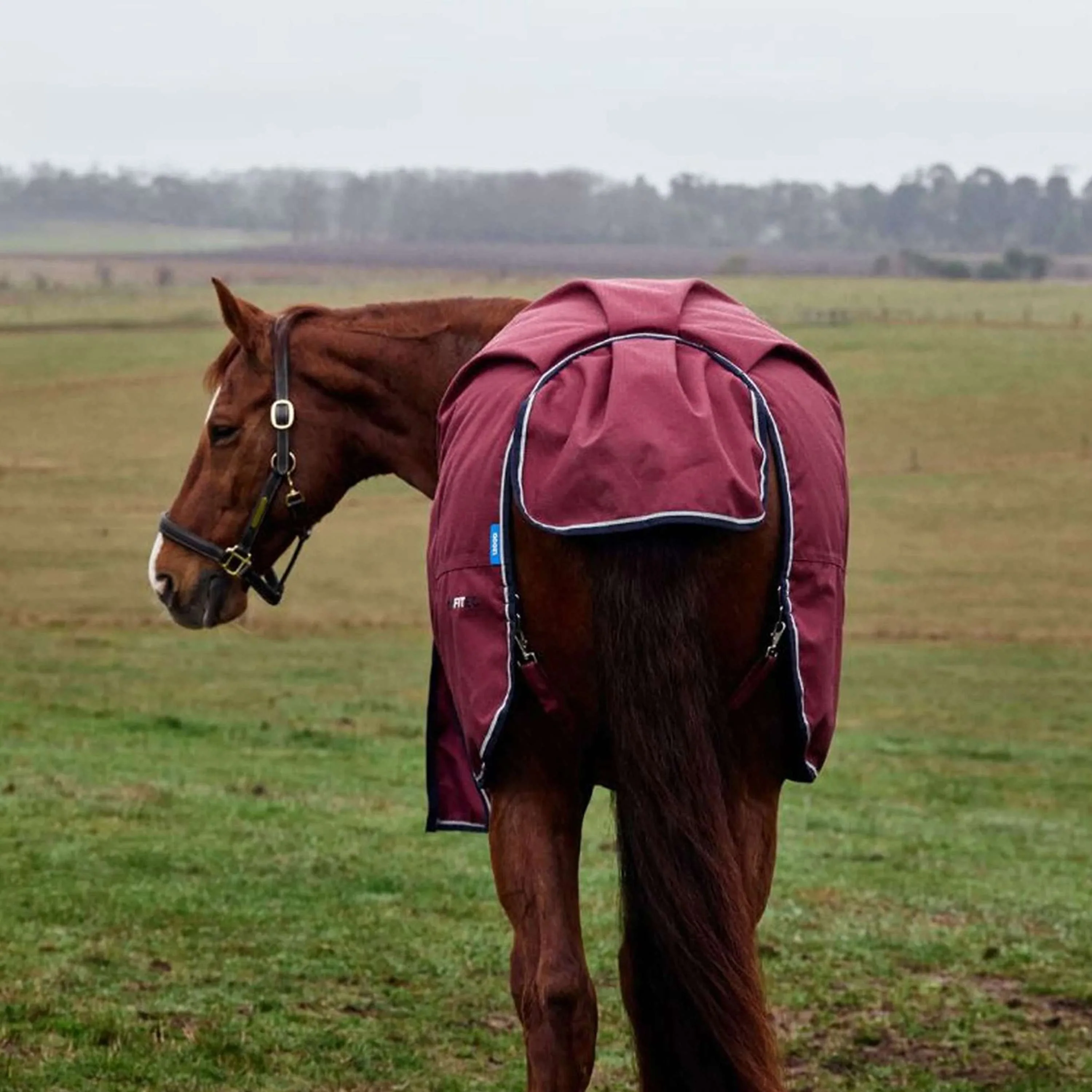 WeatherBeeta ComFiTec Prelim Turnout 220g Bourgogne/Marine - Image 7
