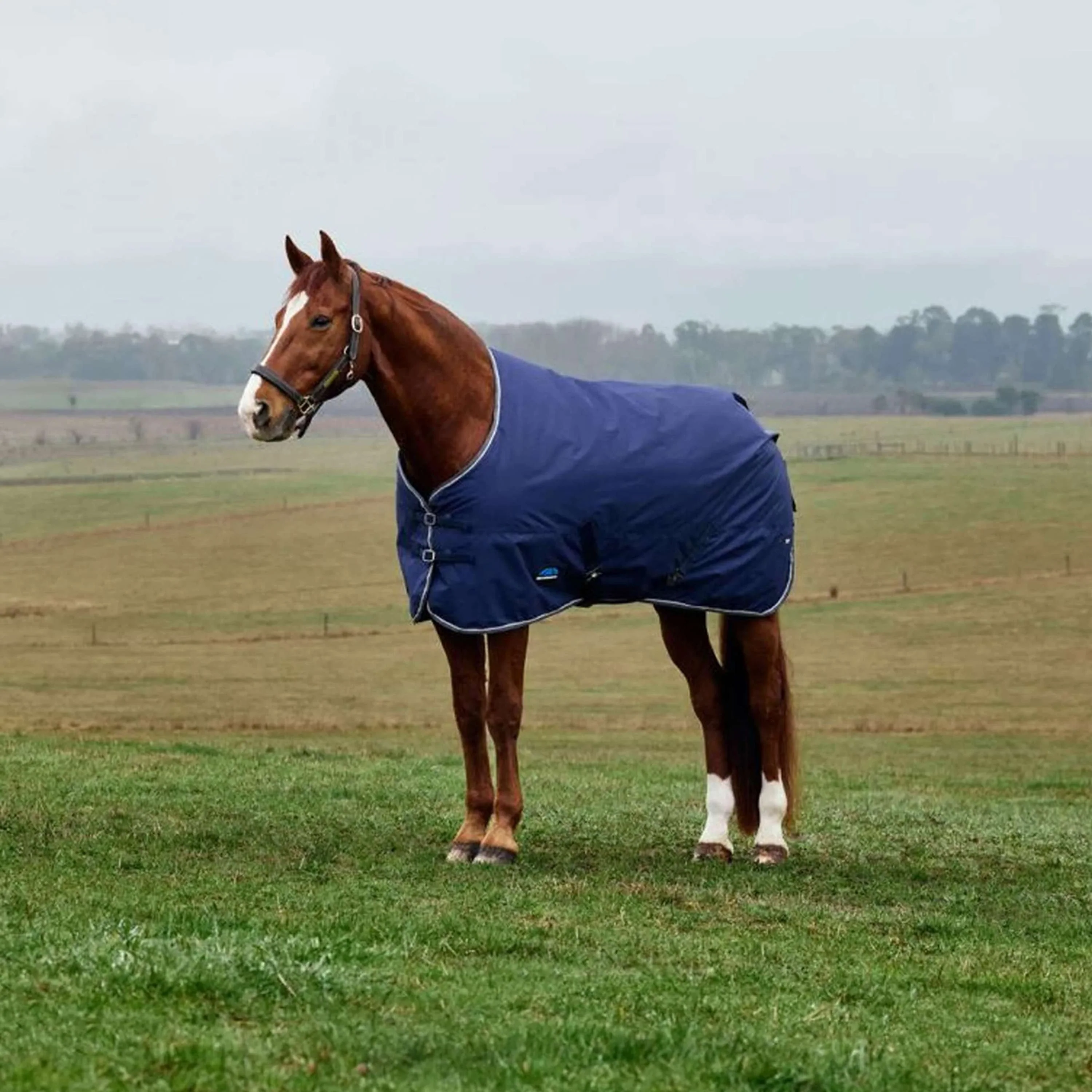 WeatherBeeta ComFiTec Tyro Turnout Standard Neck 220g Navy/Charcoal
