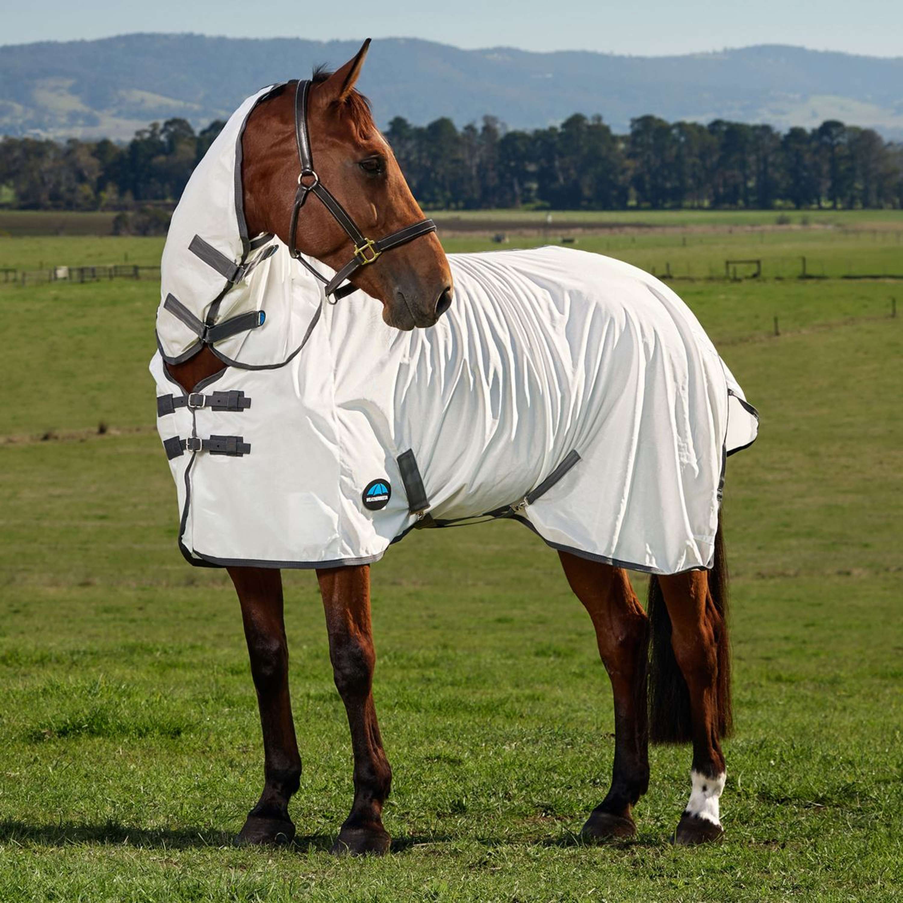 WeatherBeeta Couverture Anti-Mouches ComFiTec Tyro Combo Blanc/Charcoal - Image 2