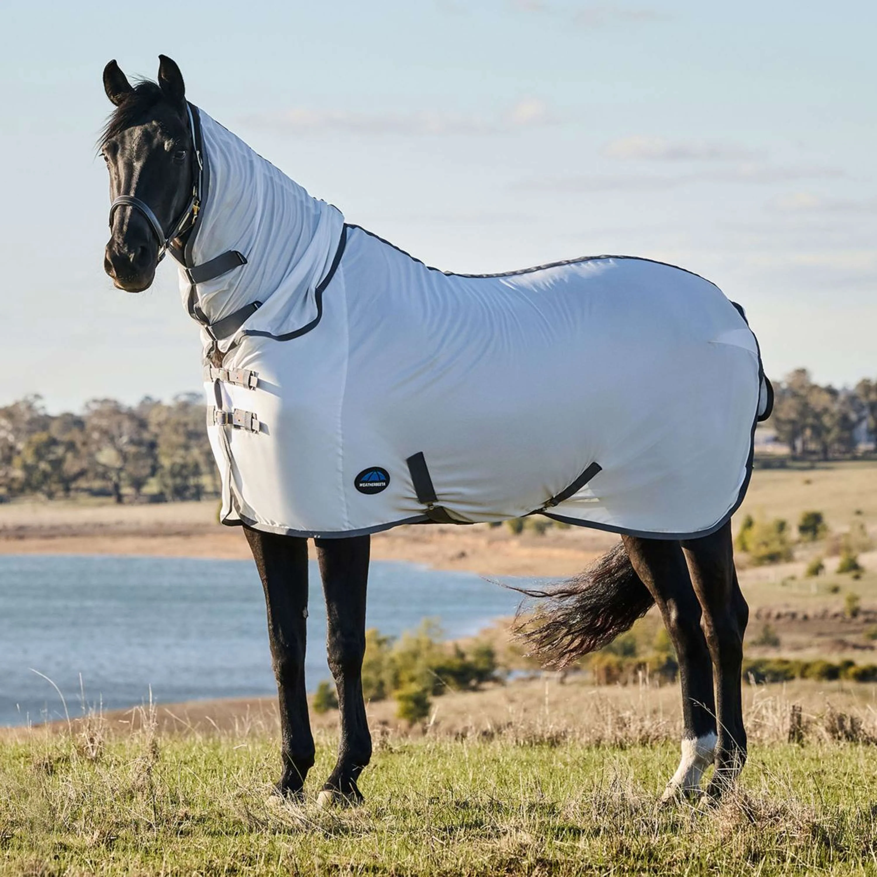 WeatherBeeta Couverture Anti-Mouches ComFiTec Tyro Combo Blanc/Charcoal - Image 3