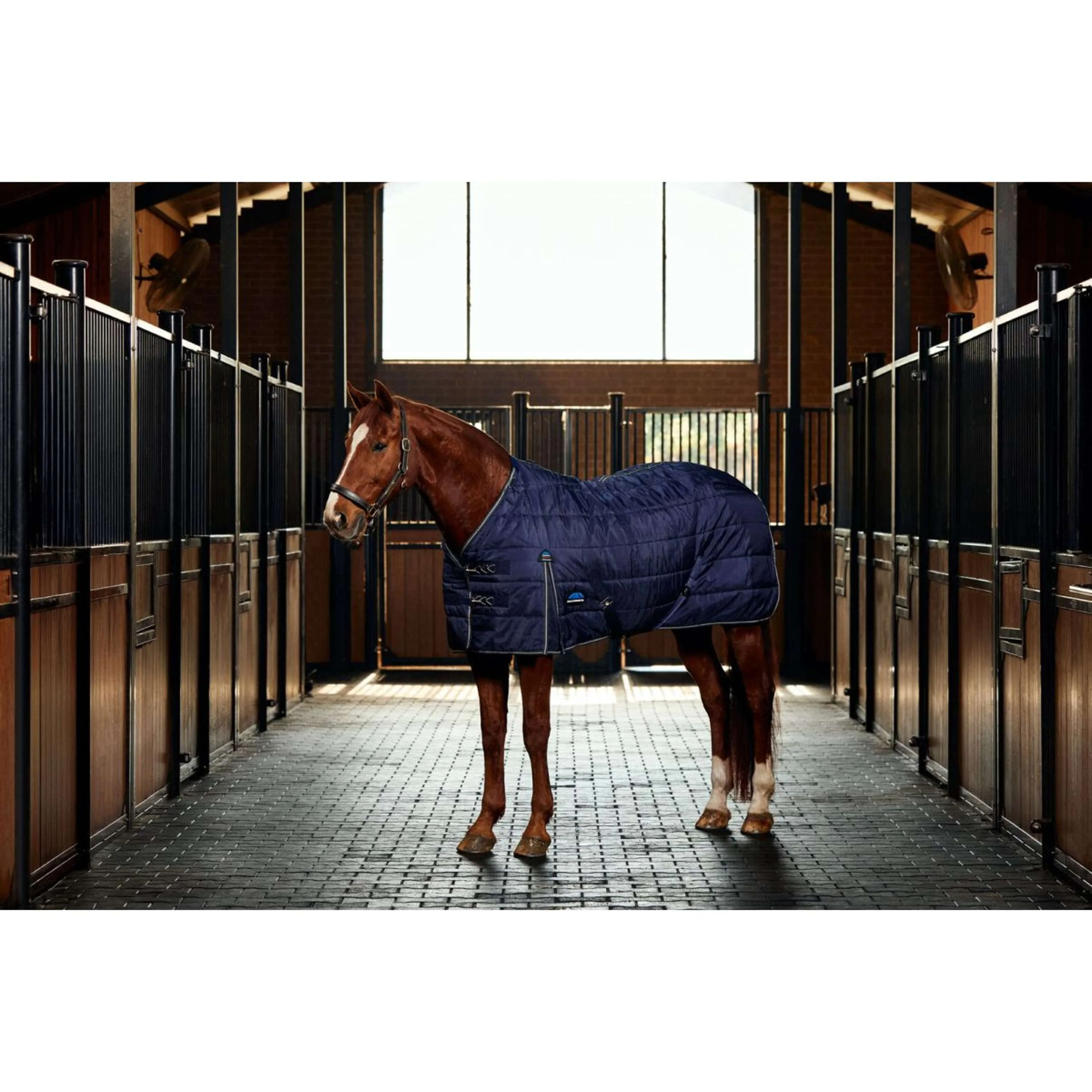 WeatherBeeta Couverture d'Écurie ComFiTec PP Channel Quilt Detach-A-Neck 220g Navy/Charcoal