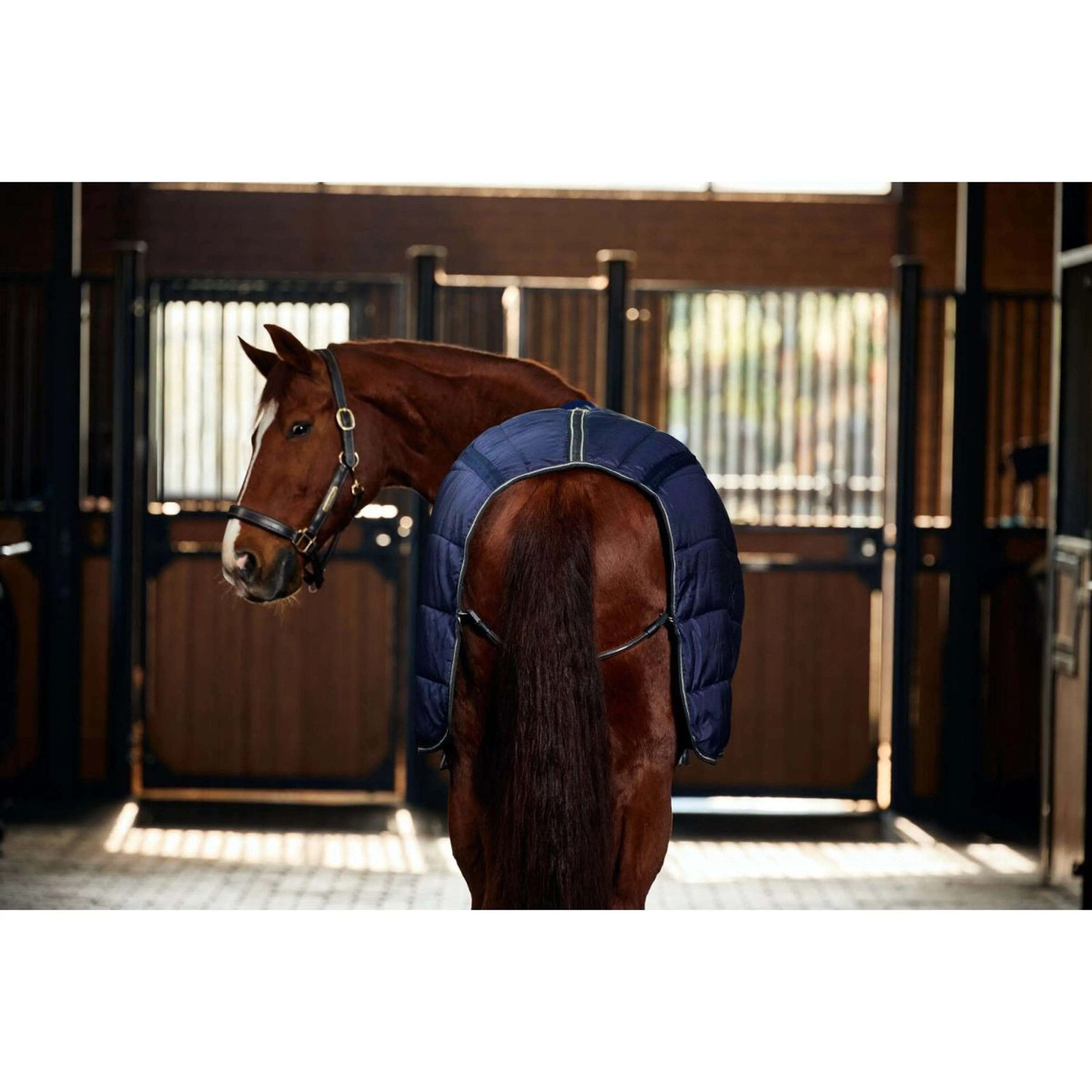 WeatherBeeta Couverture d'Écurie ComFiTec PP Channel Quilt Detach-A-Neck 220g Navy/Charcoal - Image 10