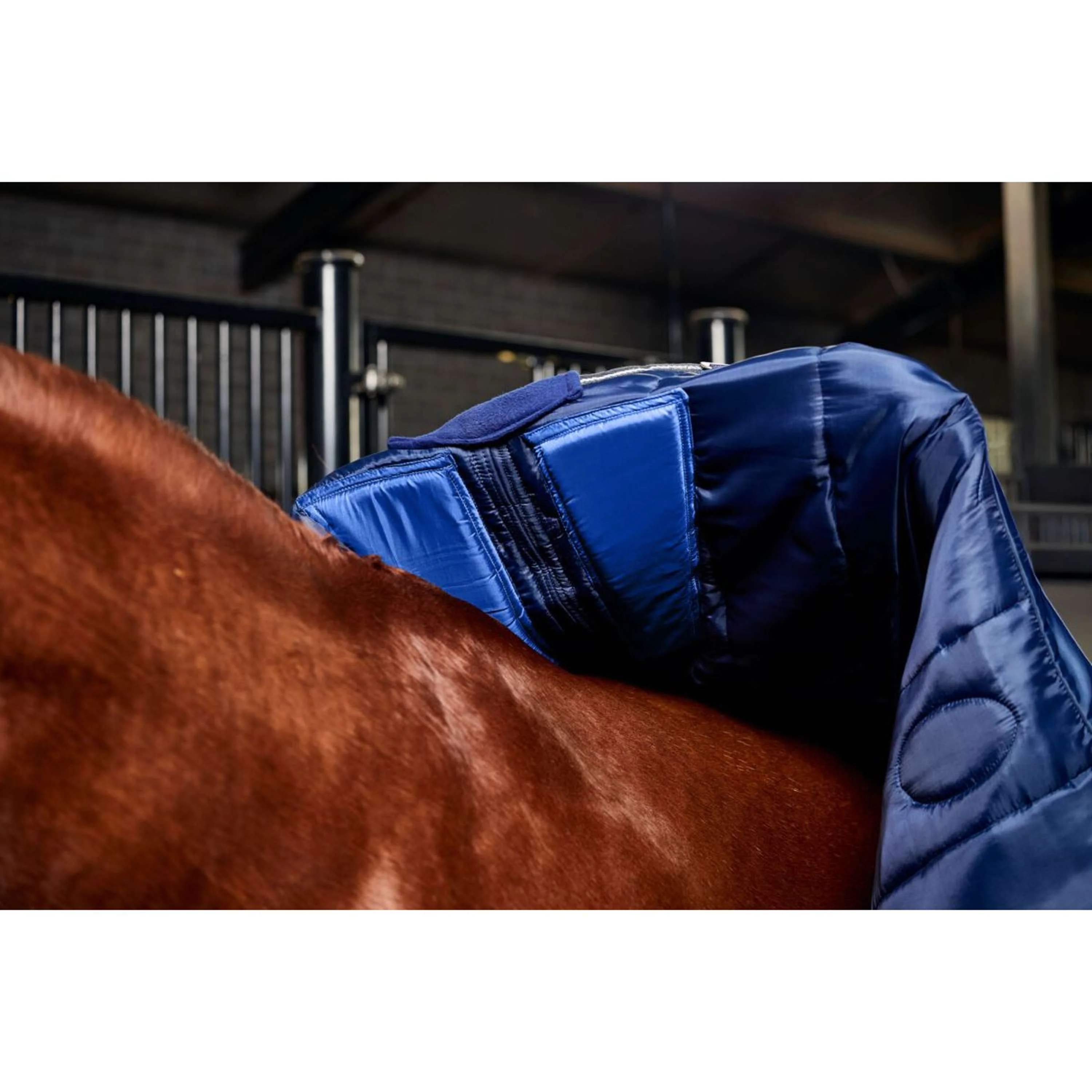 WeatherBeeta Couverture d'Écurie ComFiTec PP Channel Quilt Detach-A-Neck 220g Navy/Charcoal - Image 9