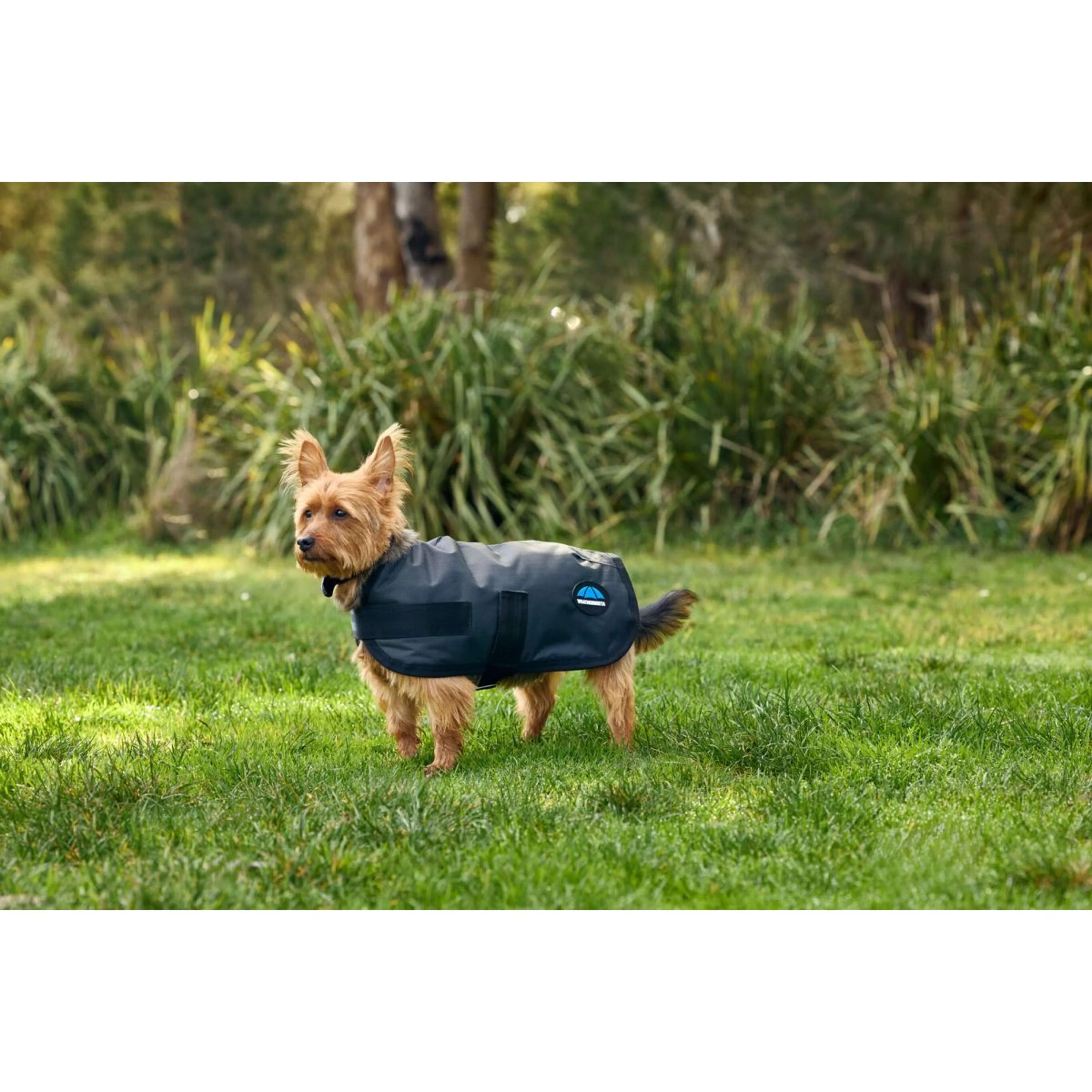 WeatherBeeta Couverture pour Chien ComFiTec Classic Waterproof Charbon