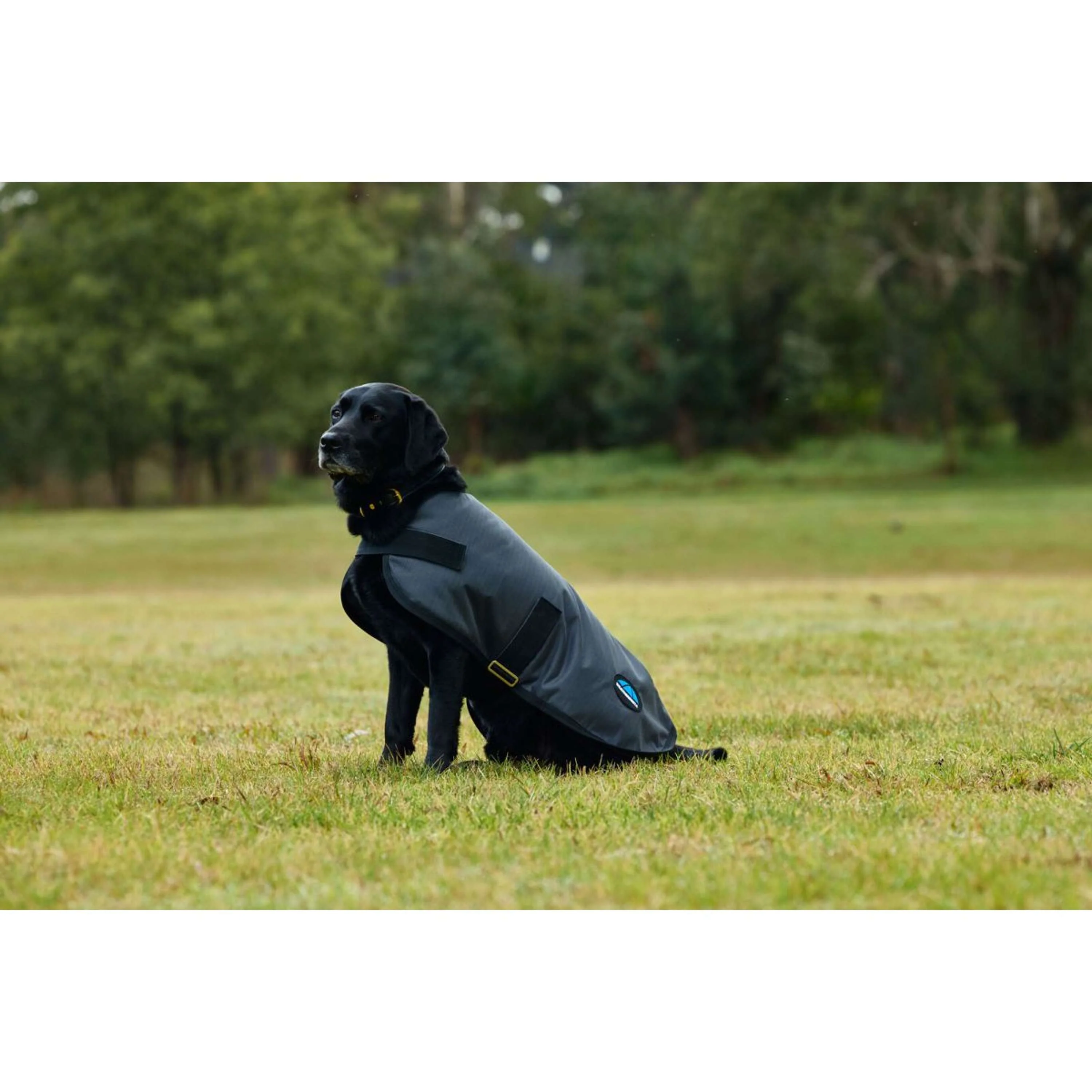 WeatherBeeta Couverture pour Chien ComFiTec Classic Waterproof Charbon - Image 3