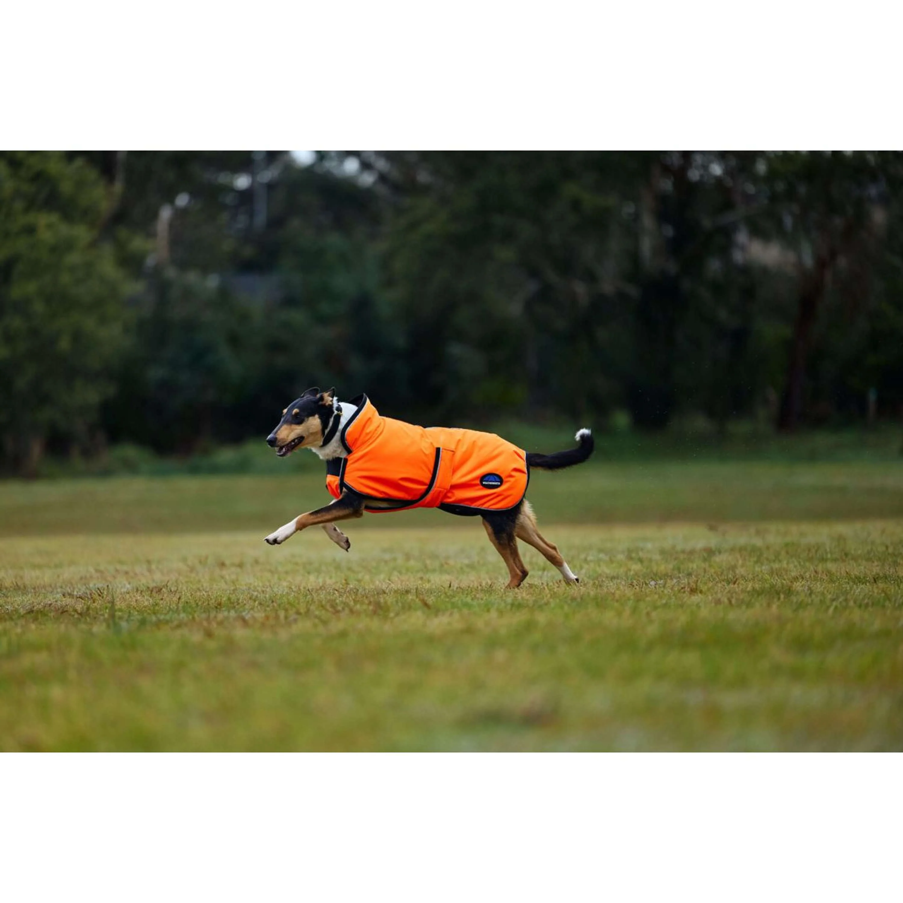 WeatherBeeta Couverture pour Chien ComFiTec Reflective 300D Deluxe Showerproof Orange - Image 3
