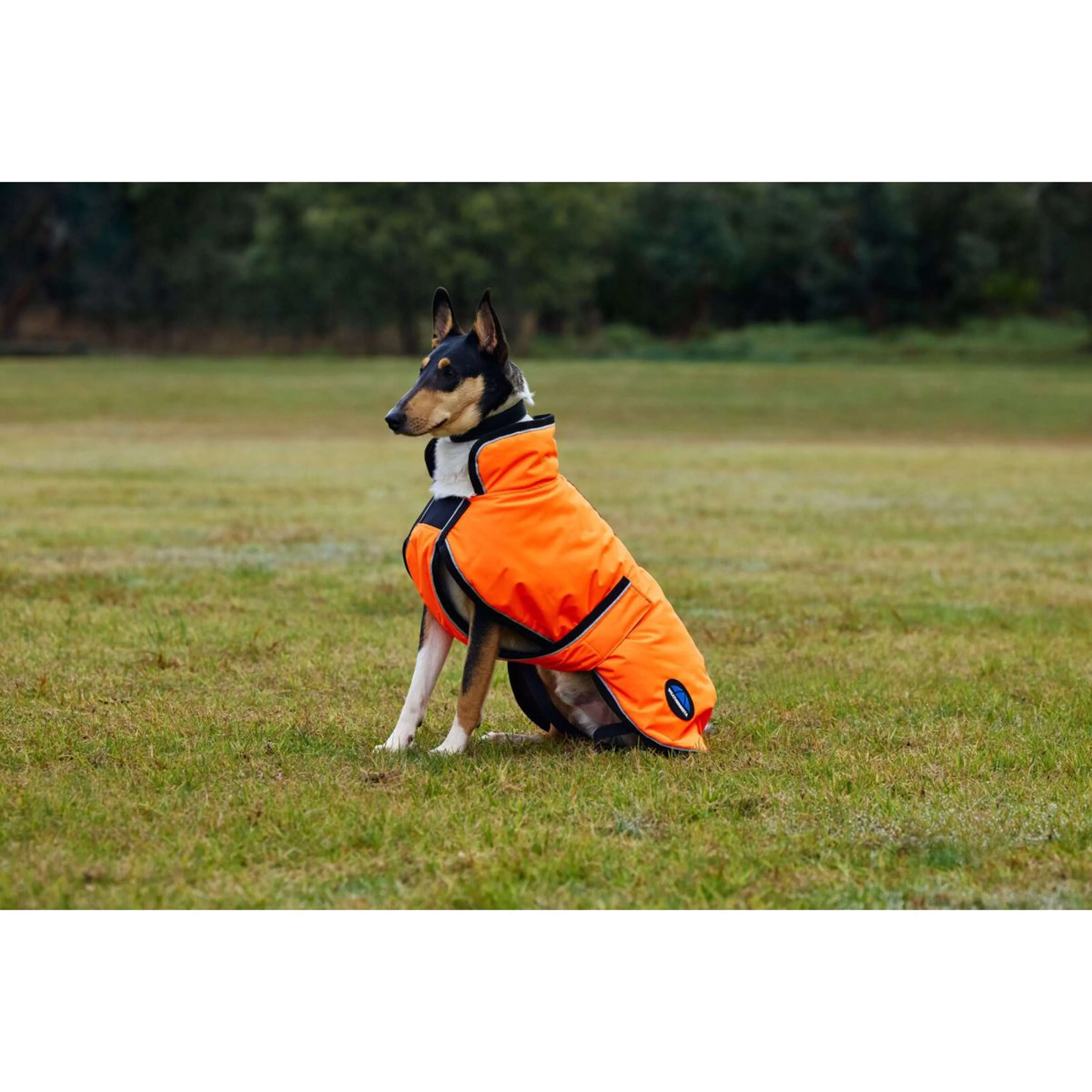 WeatherBeeta Couverture pour Chien ComFiTec Reflective 300D Deluxe Showerproof Orange - Image 5