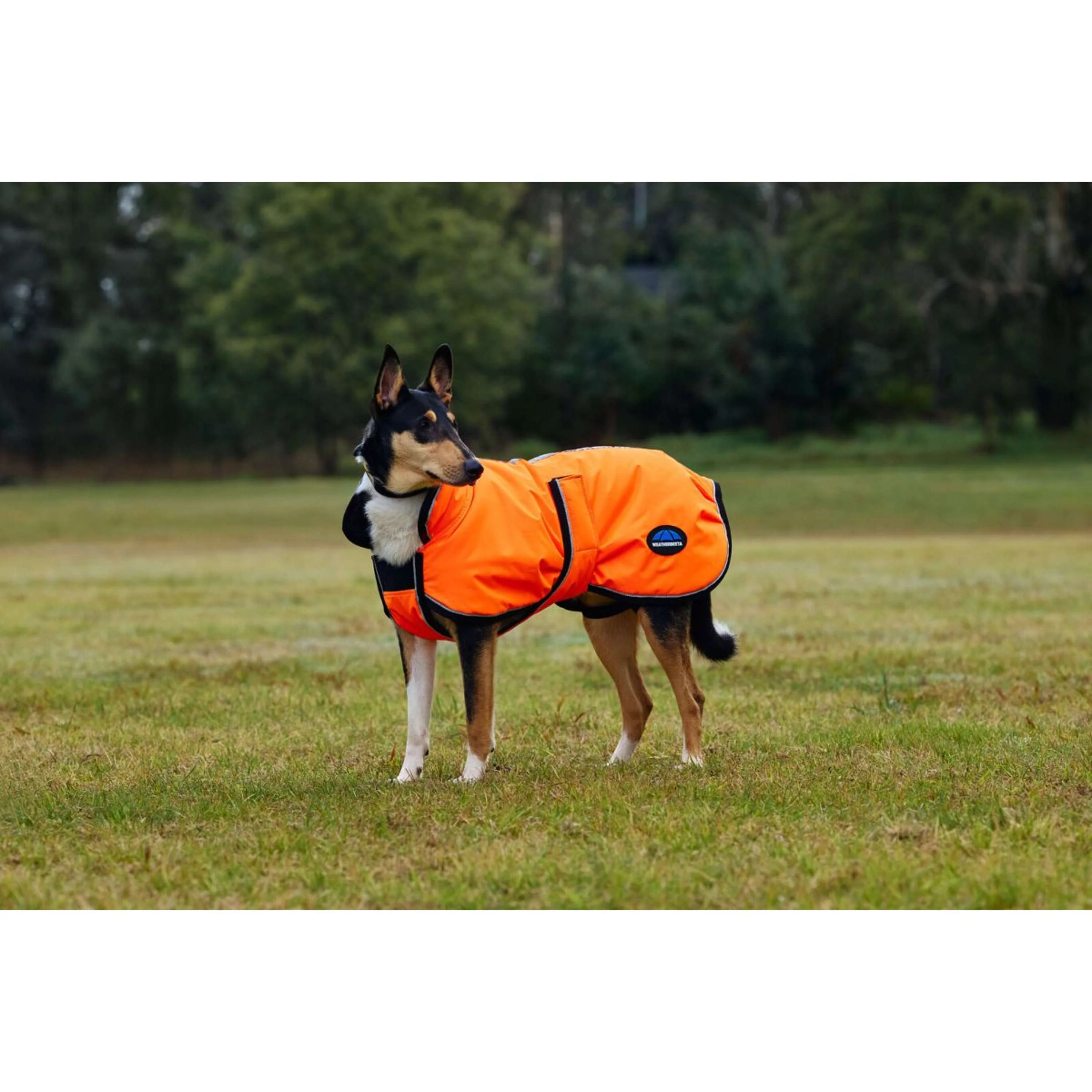 WeatherBeeta Couverture pour Chien ComFiTec Reflective 300D Deluxe Showerproof Orange - Image 6