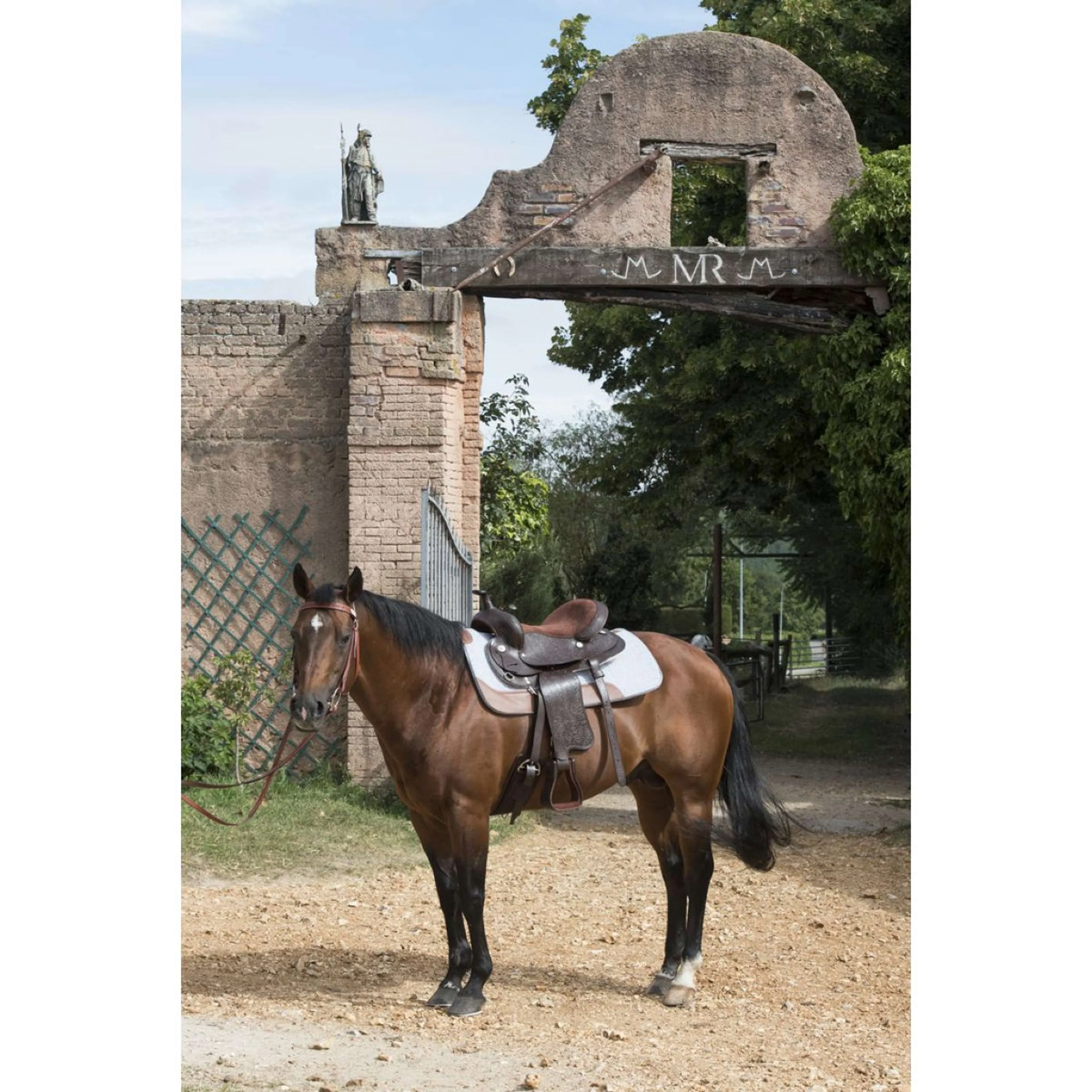 Westride Pad en feutre Gris - Image 3