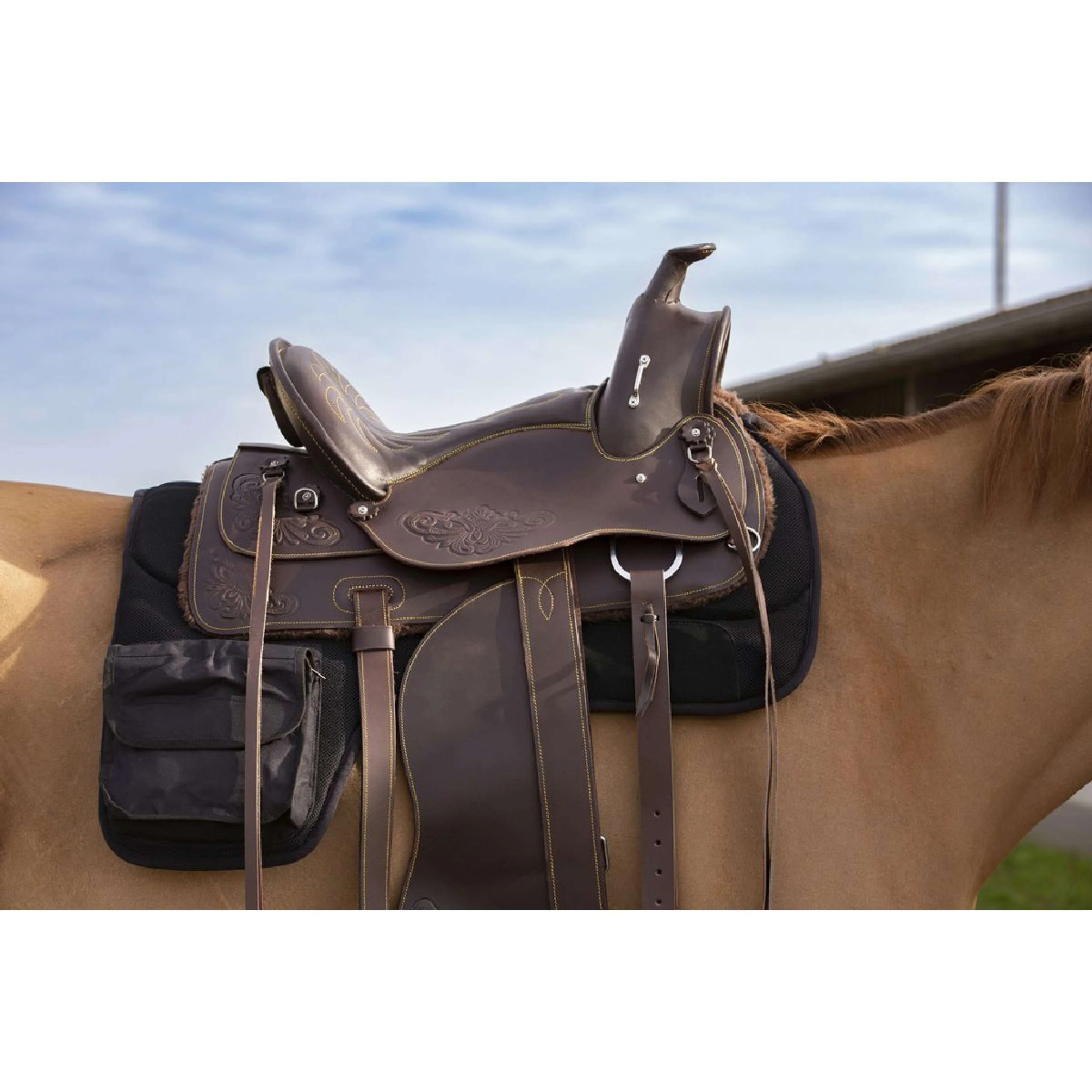 Westride Tapis Western avec Sacs Noir - Image 3